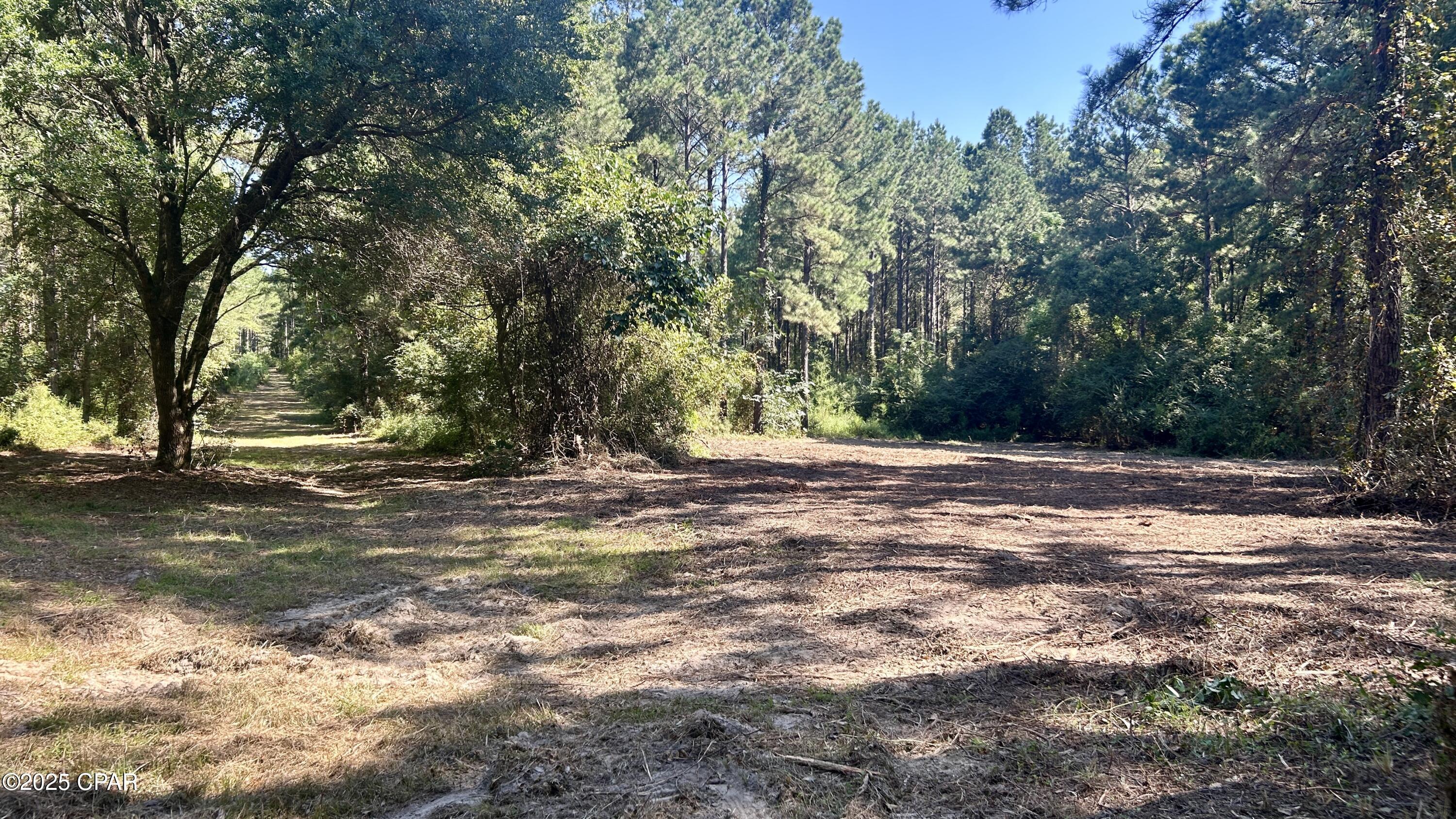 Fgwgxdrtnkxsxvlw6xyznzehtwhte074wtvwptv5mrg