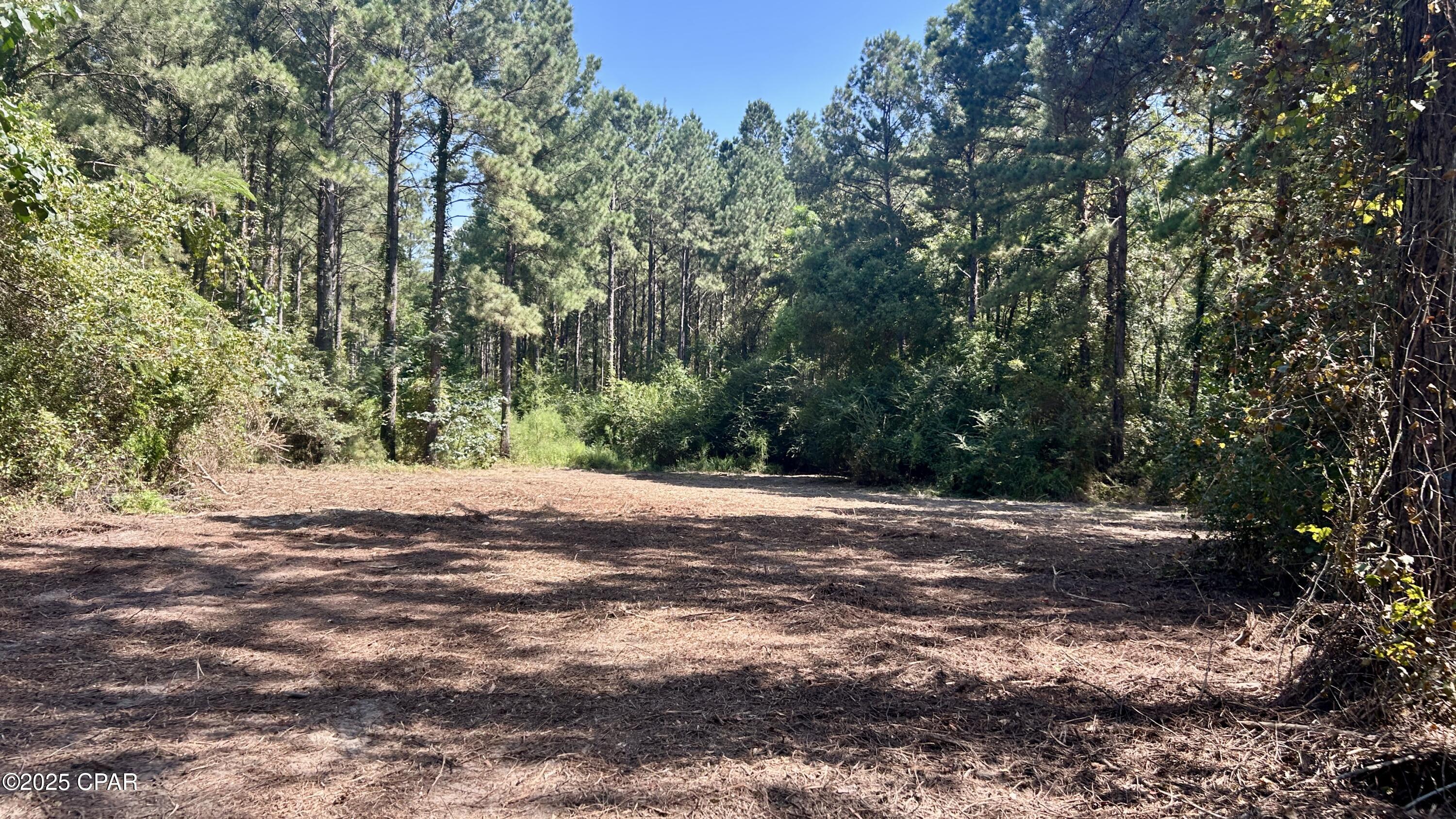 Xm0v1w94ju9vto6uttxgxoqjeh Tmheemq Nekozmjc