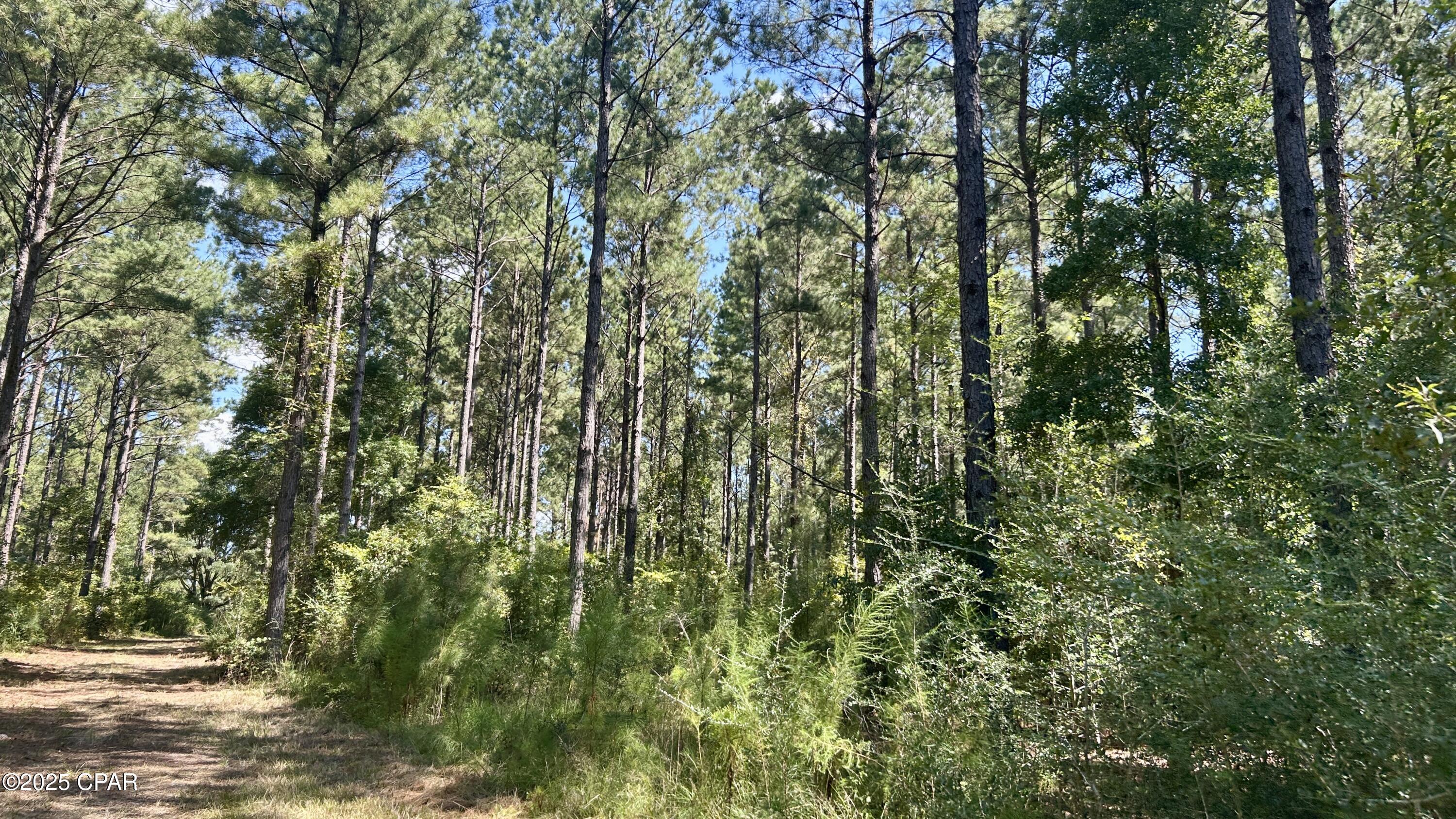 0madchzps_ltpegse_gj4yoe7bfzndd62ugxv4s6obw