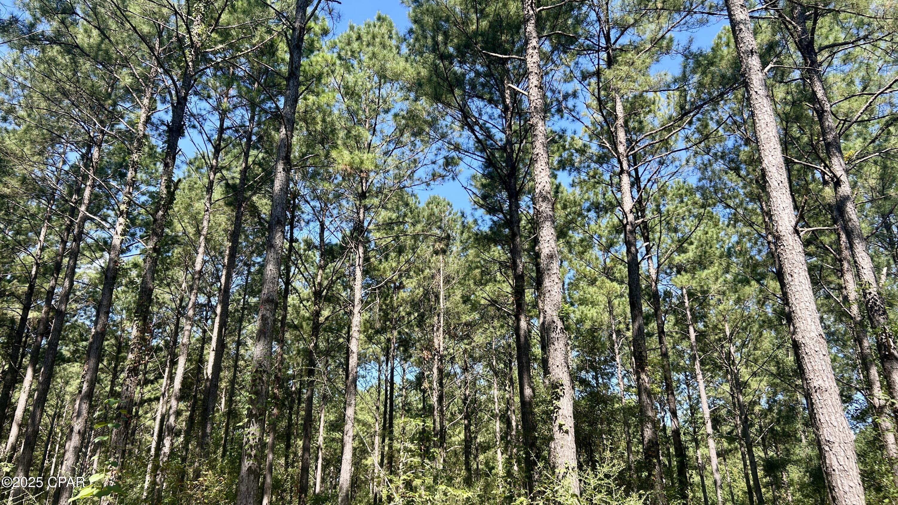 Rjicrwm2ngjpqd0n9r5si2polajp2tkaz7n57e8xvqe