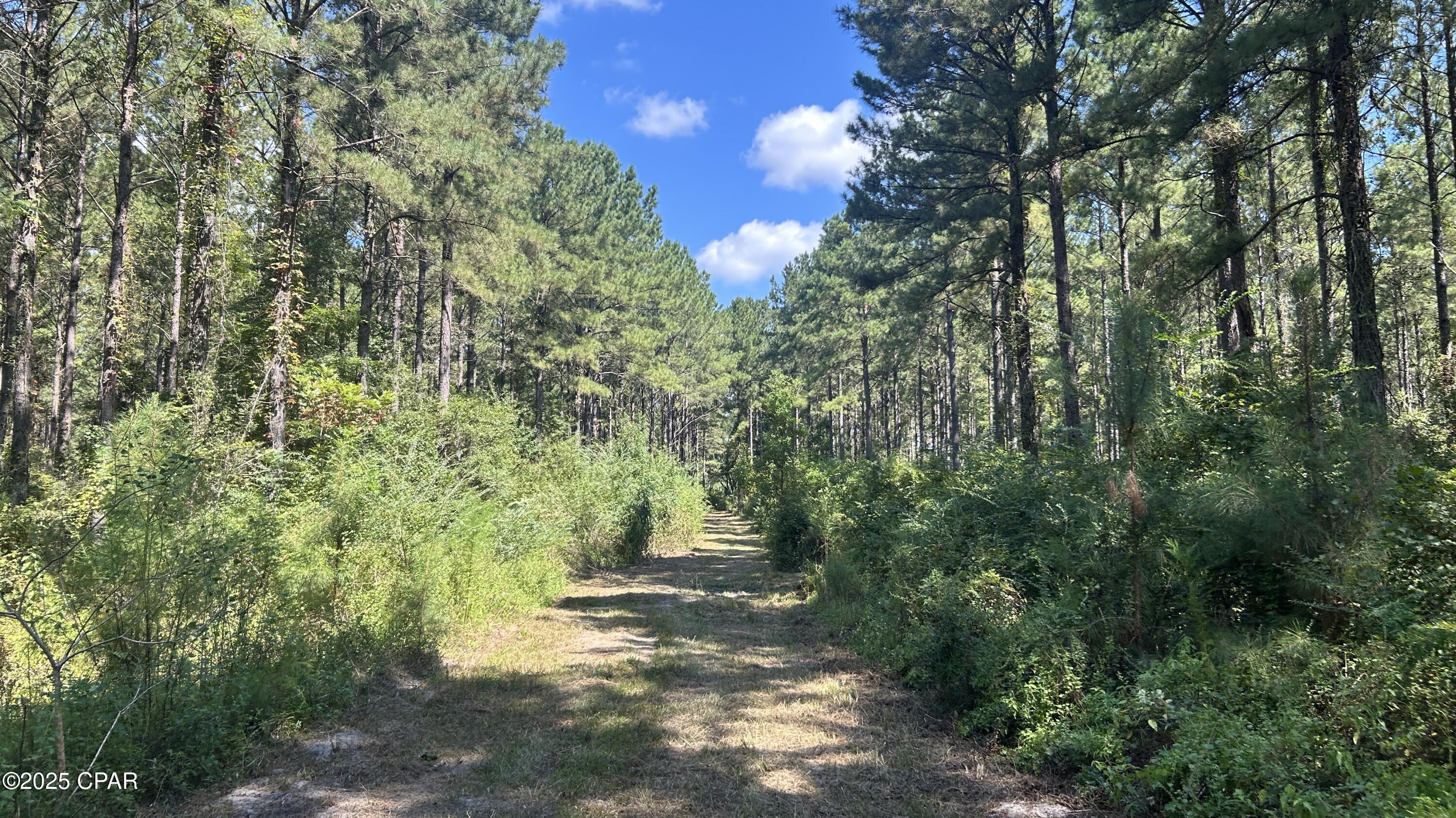 Mylnlujviq3qawnko1ssfondfk3o0qkwdeocrcvu8ws