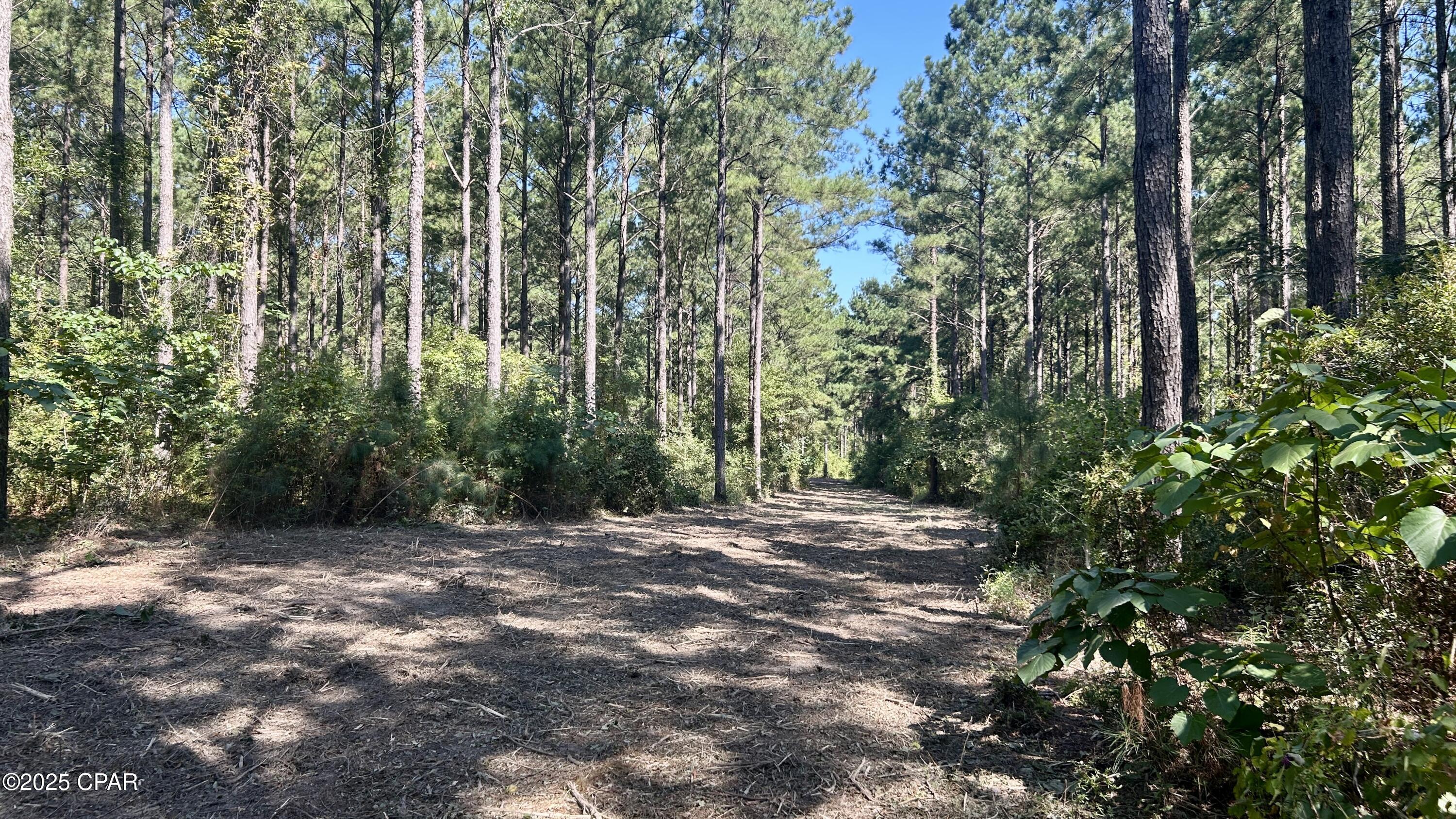 Ruo3ia0sbh0lly3r5y6osb Ydjgqghfrx0 Iomjrlgi