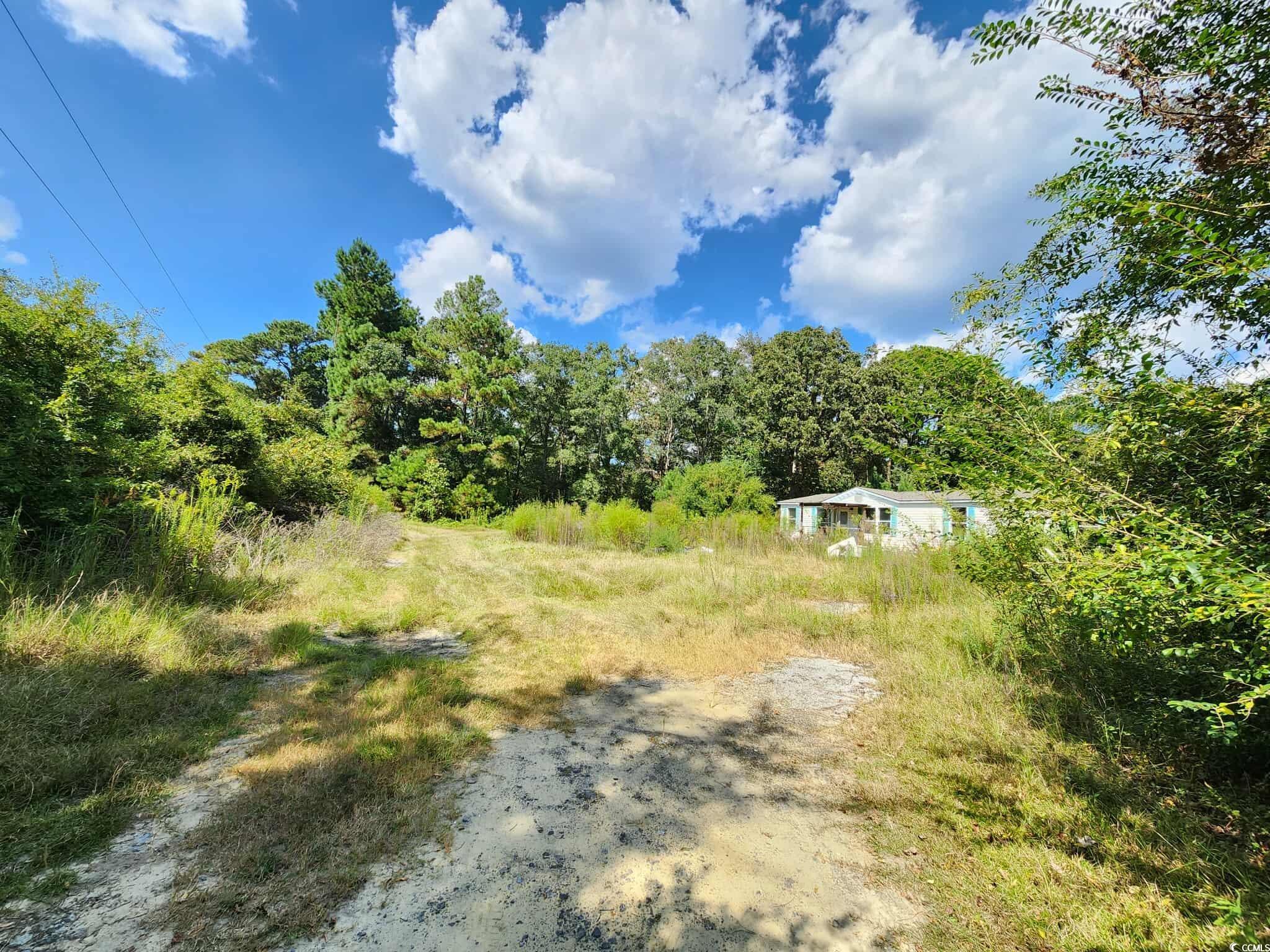 239 Canis Lupus Lane Aynor, SC 29511