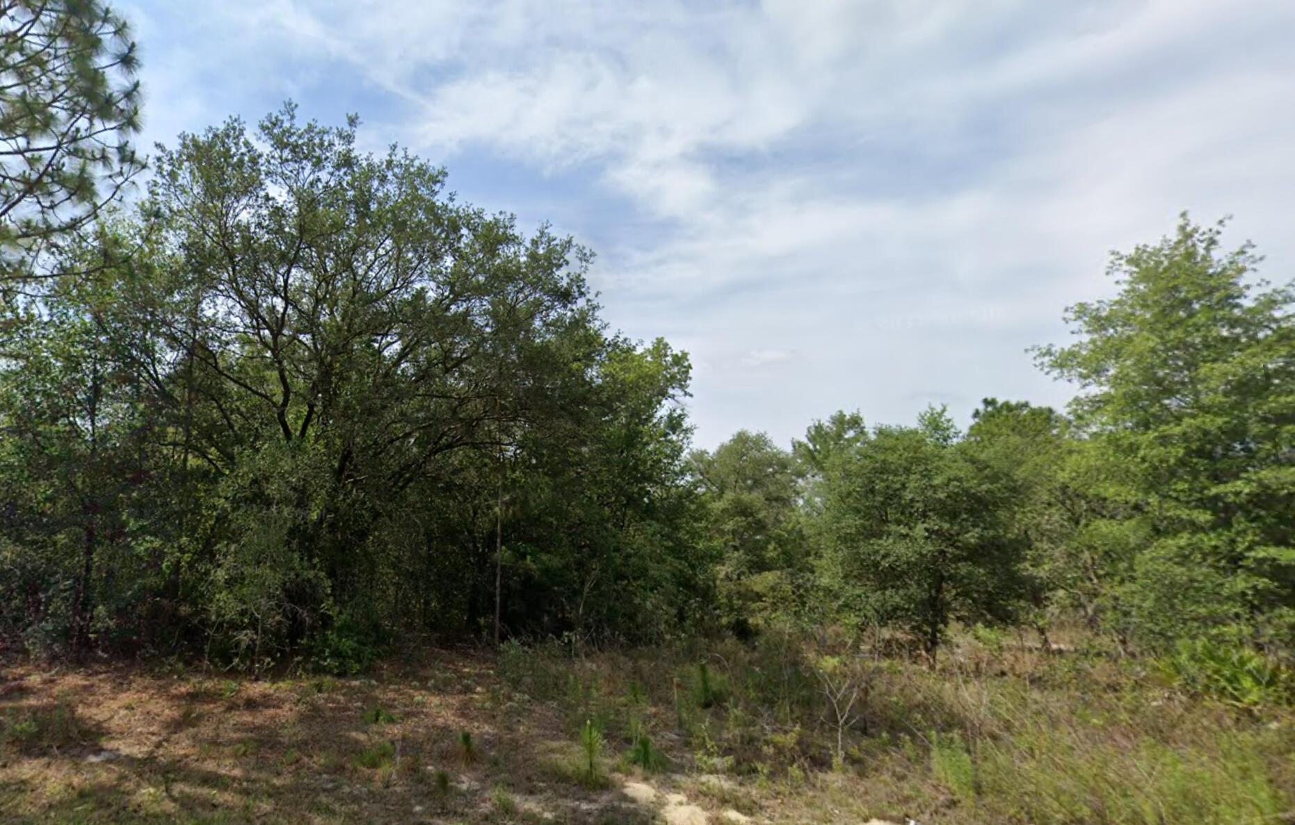 Citrus Springs Unit 23