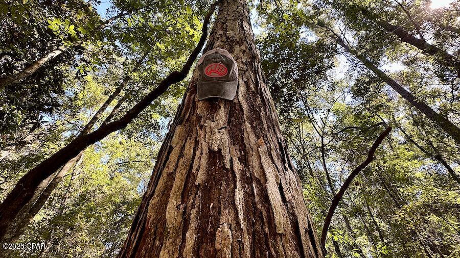 Wfz0abmbs4w4wdhhagbgf97vp7npqvmgopidvou1eto