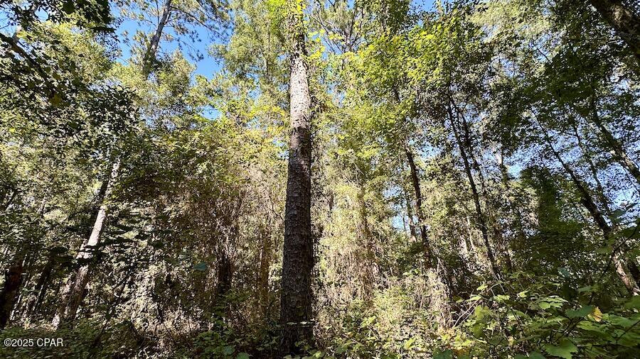 9avntl_0vtaz Yeyxenfu_otqtqsz8n_5_ziobyim5u