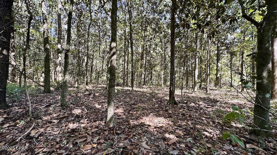 Npx  Frwsaameymkkdfud6vu7cuvqyyozjulme2wu_a