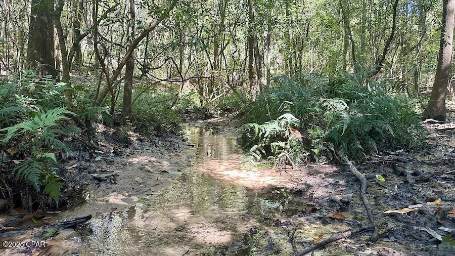 Q2cnl9zthdp2hv0hqhvhvxax1_rumjgy0tdhtb8kh58