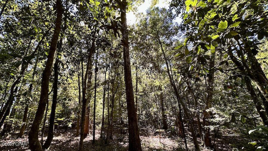 L Mbluctibgzvojuekeqwovgz4rkhn_x1iwdzqauxba