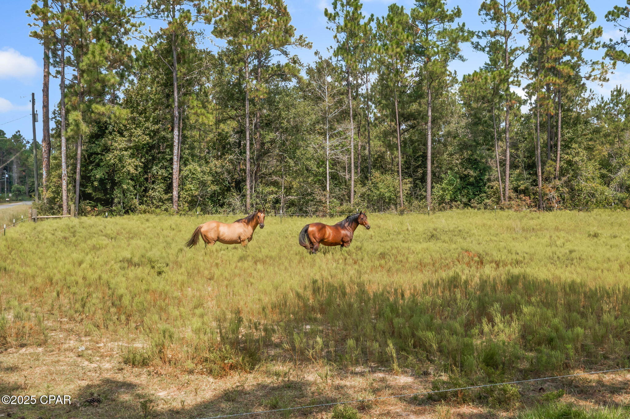 Uqvw9zrfxkyvft4px3yvy_kywupfsg8giibicwx1tio