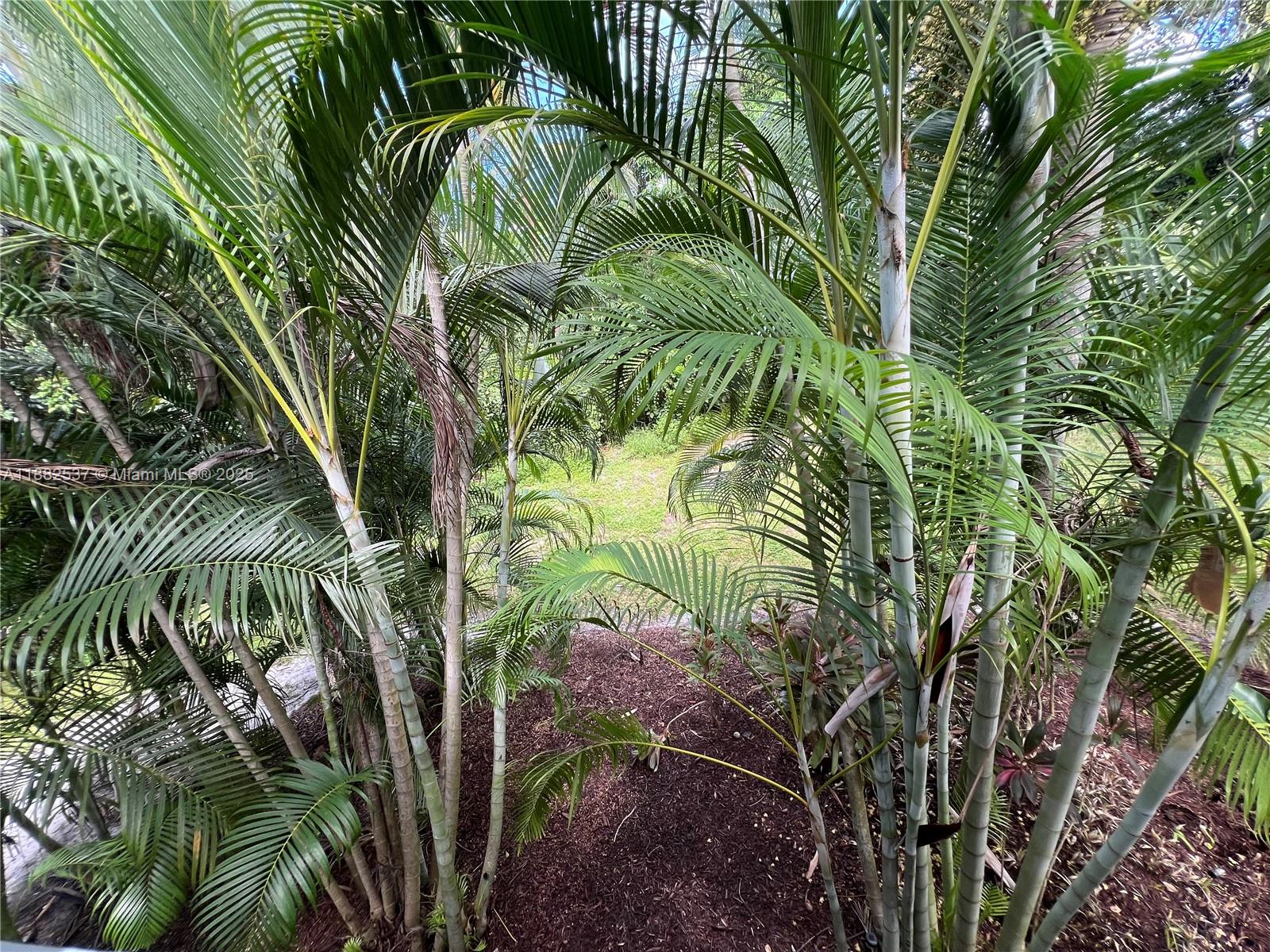 Property photo # 2