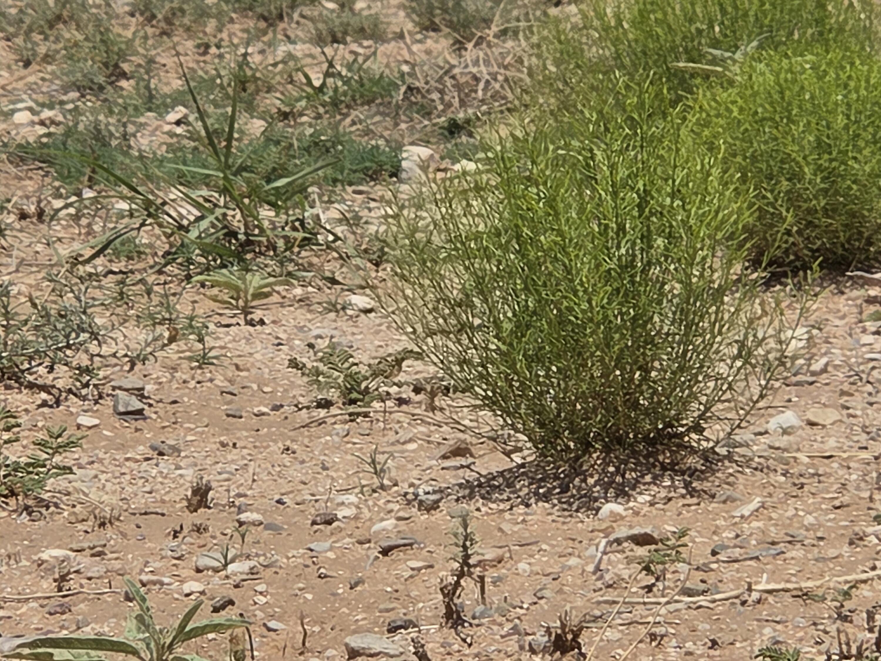 VL RGE Lot 14 15 Block 380 14