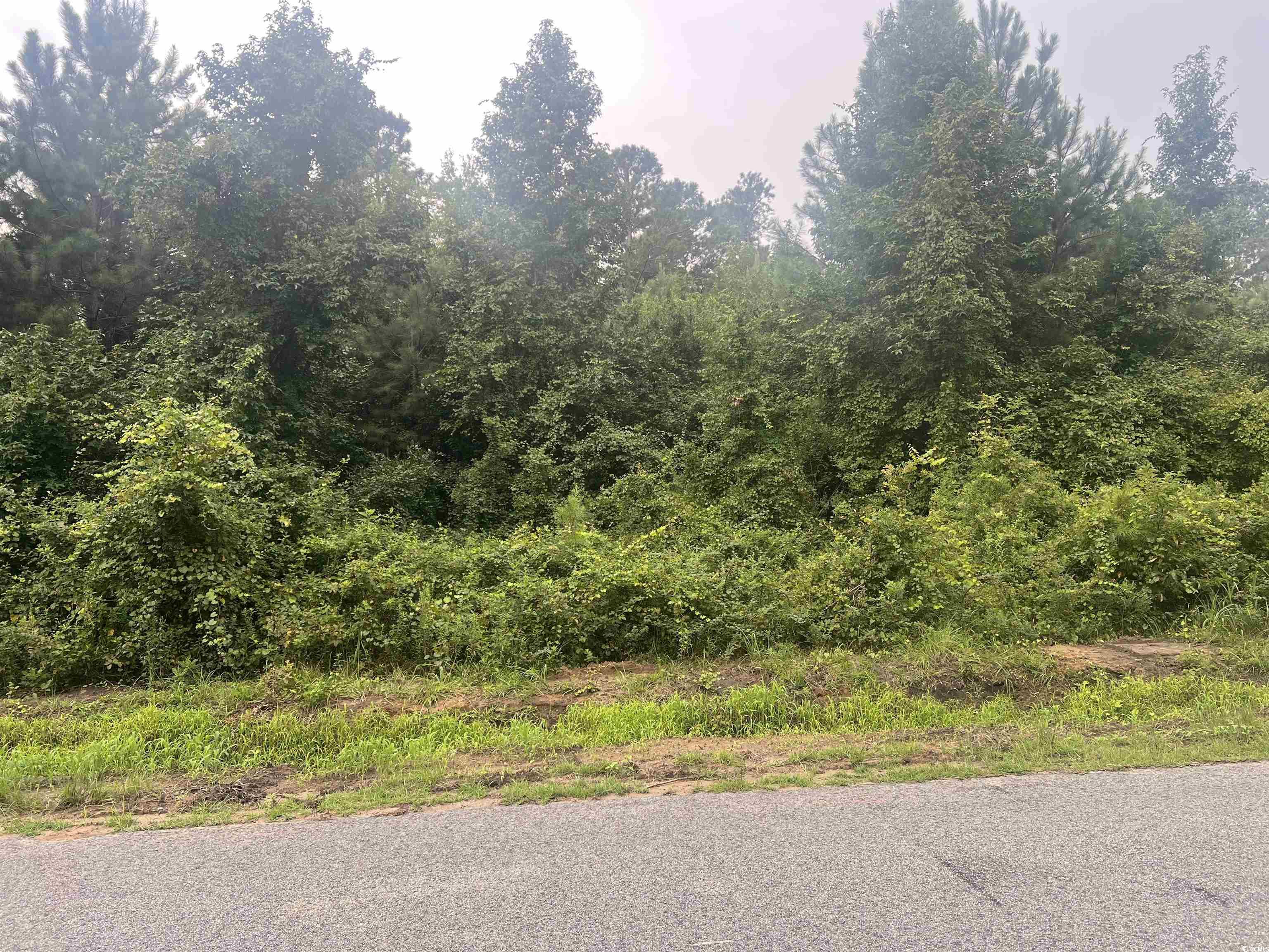 TBD Kerl Rd. Conway, SC 29526