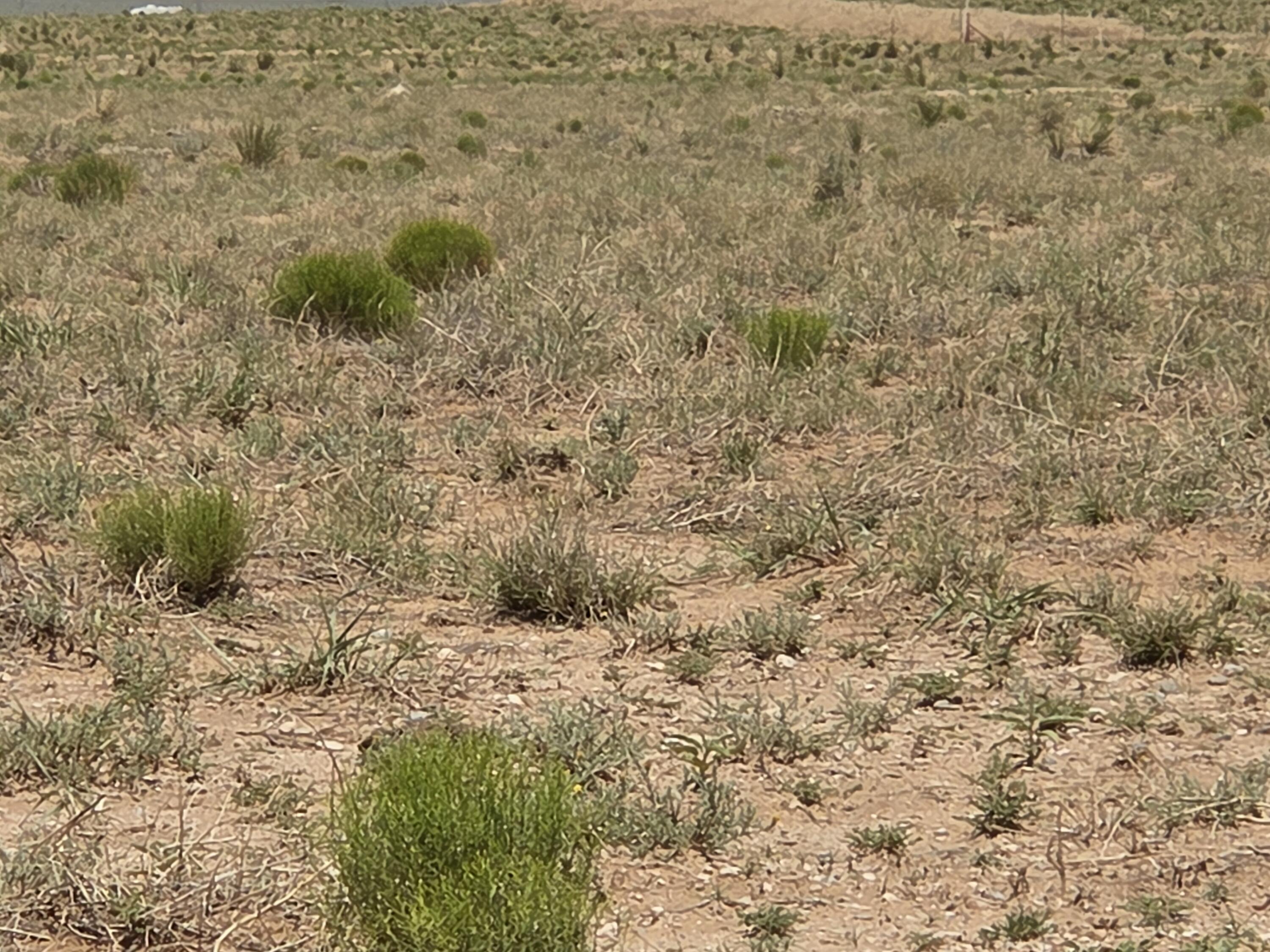 VL RGE Lot 12 13 Block 380 14 