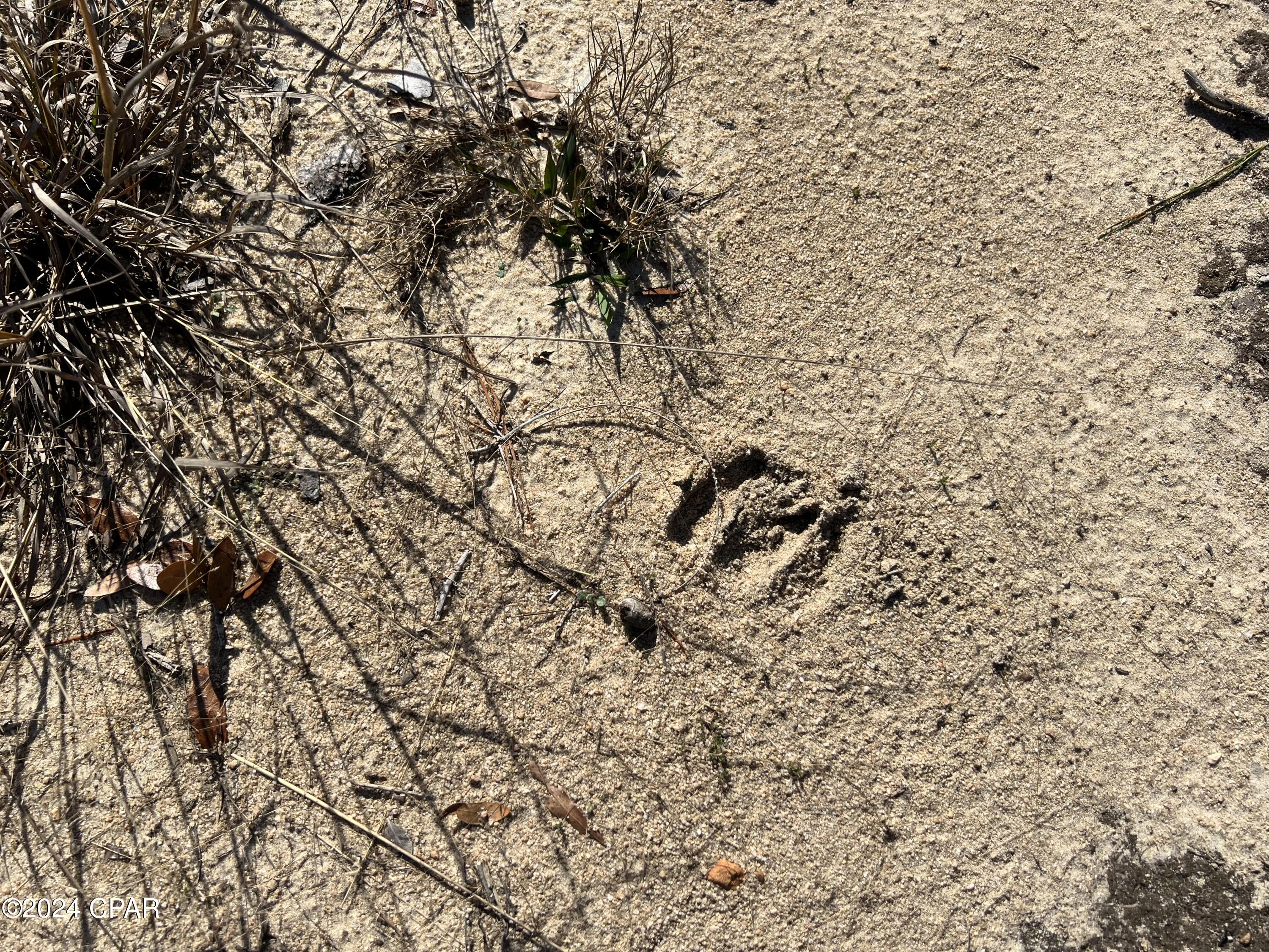 6hkidyzslyoystzbbe79ulbpqgl5fmqyqthv8acqy_0