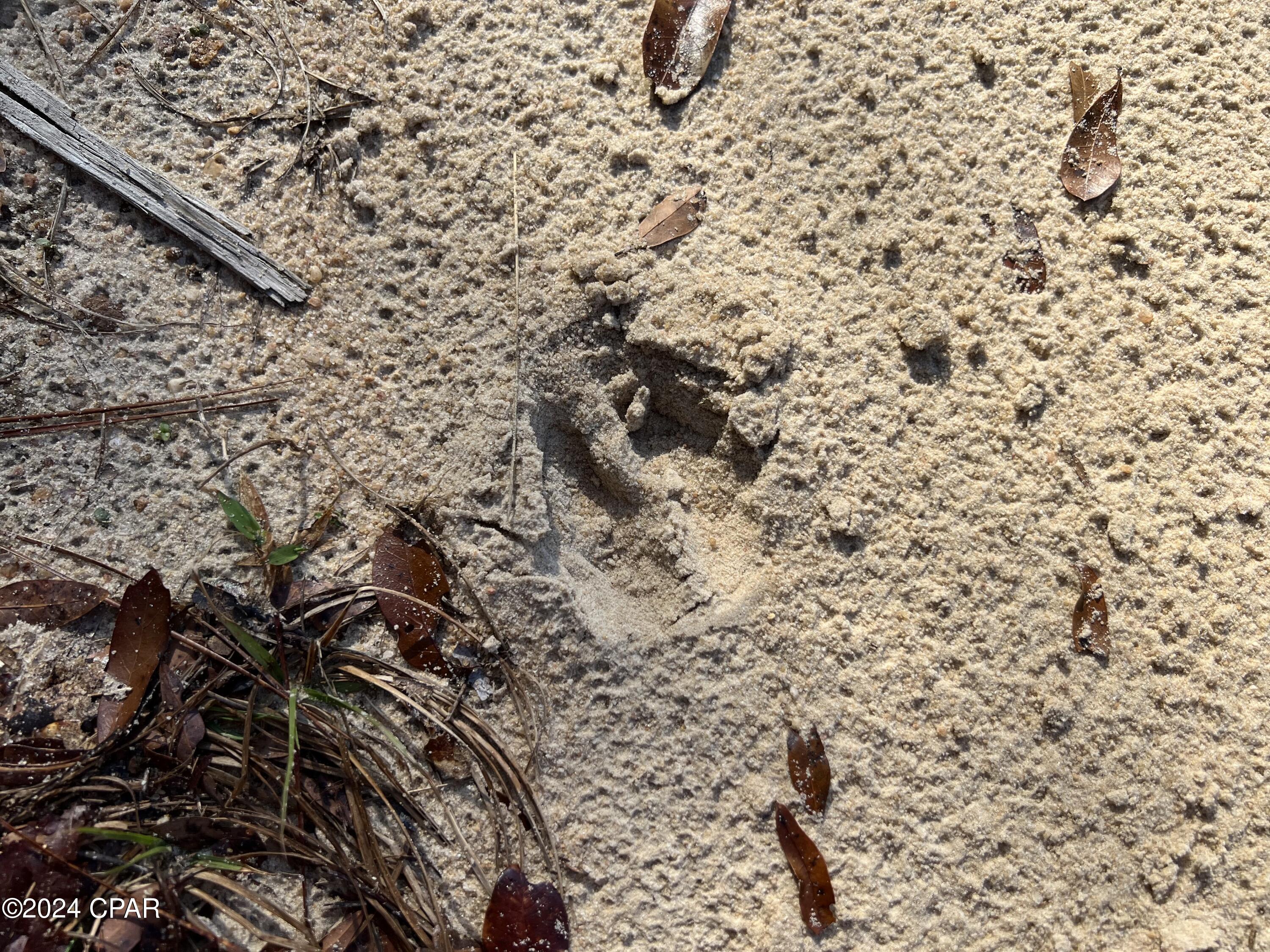 Image 11 For 0 James Luther Street