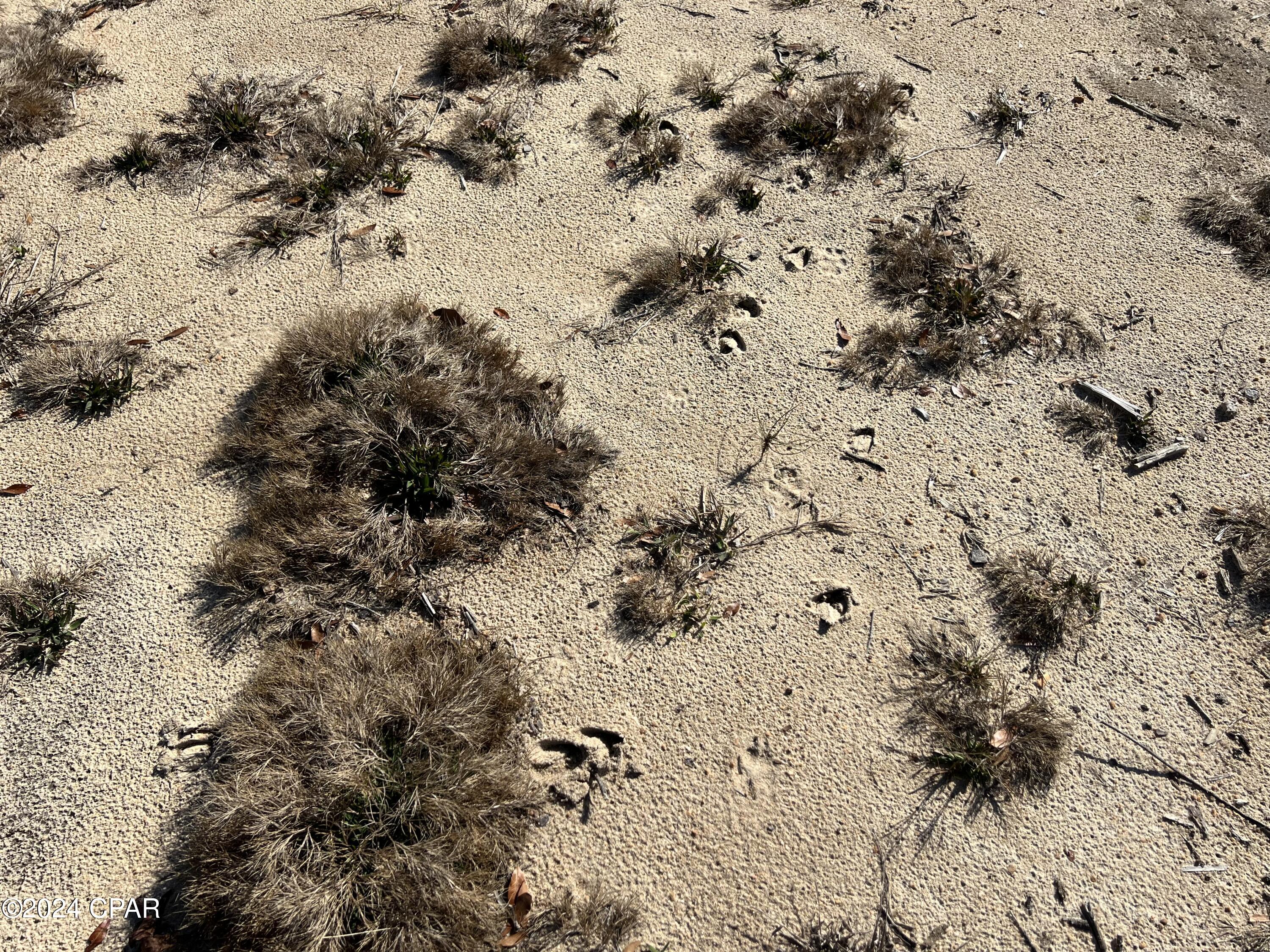 N5qrukc8qtsuloq9zx6djljactuxxshgmgbnyj8l5pa