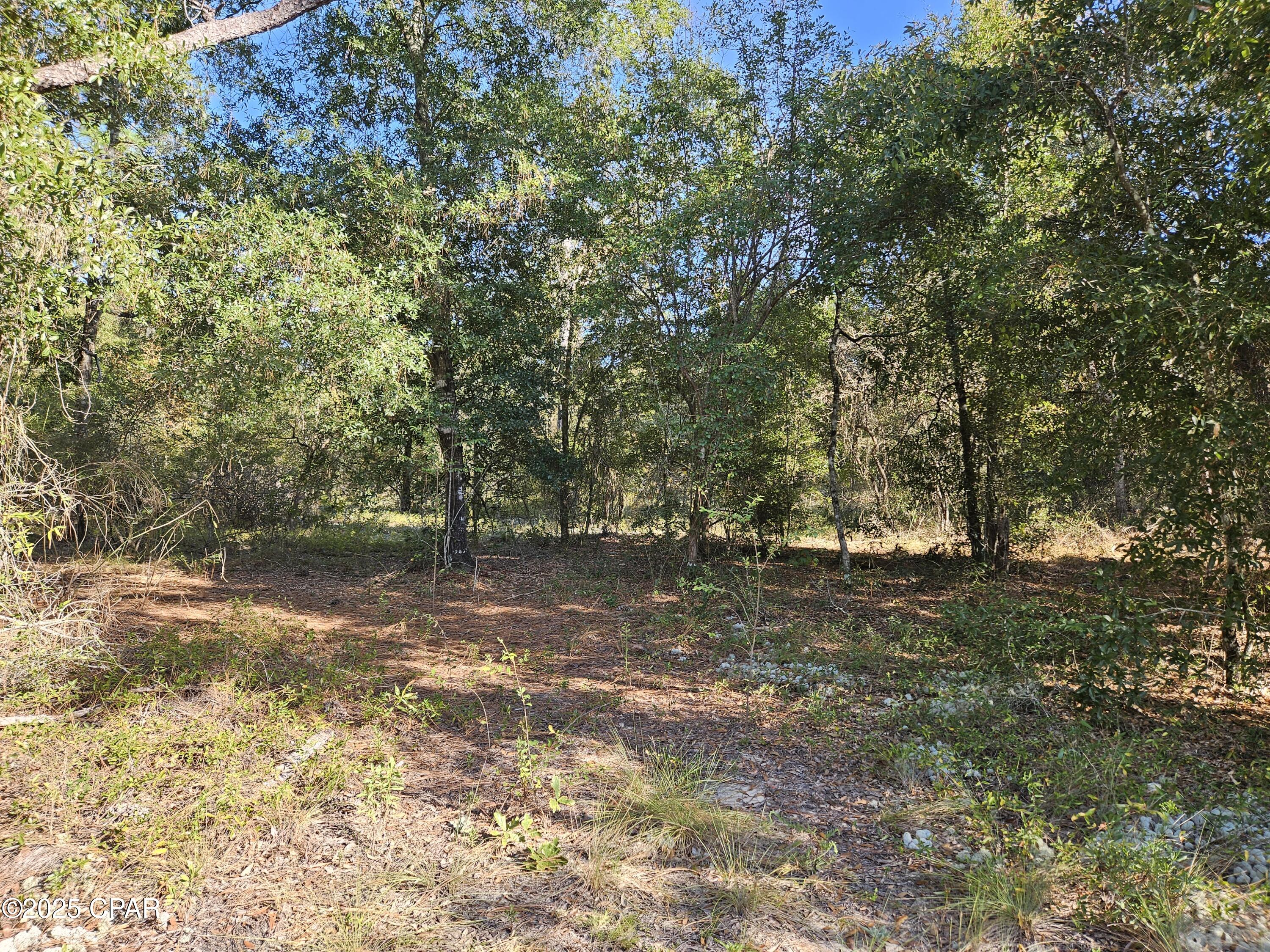 Details for A-126 Quail Ridge Drive, Chipley, FL 32428