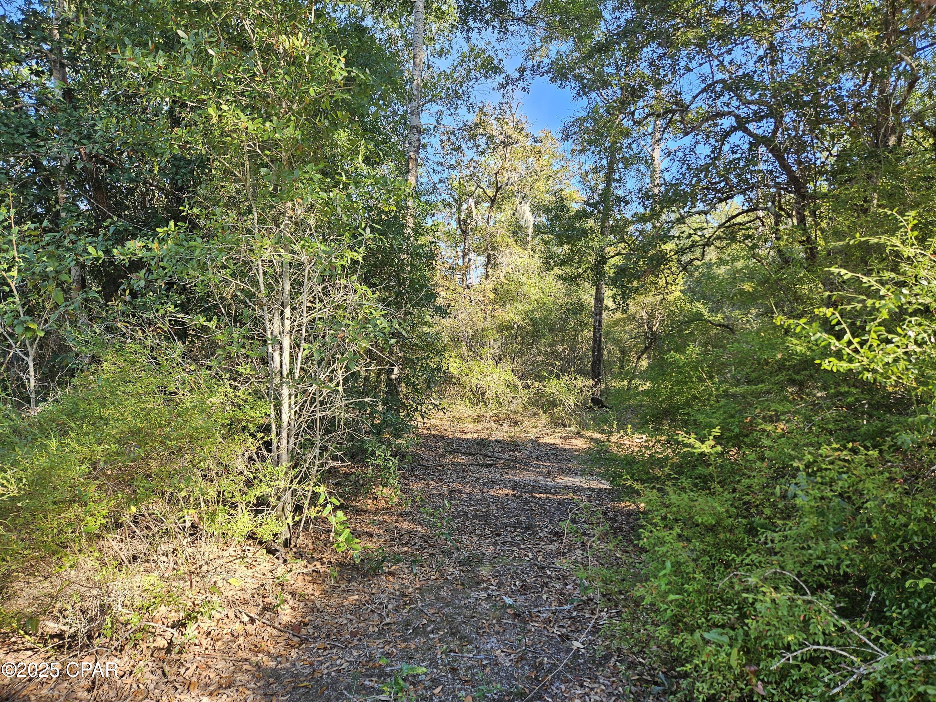 Image 3 For A-126 Quail Ridge Drive