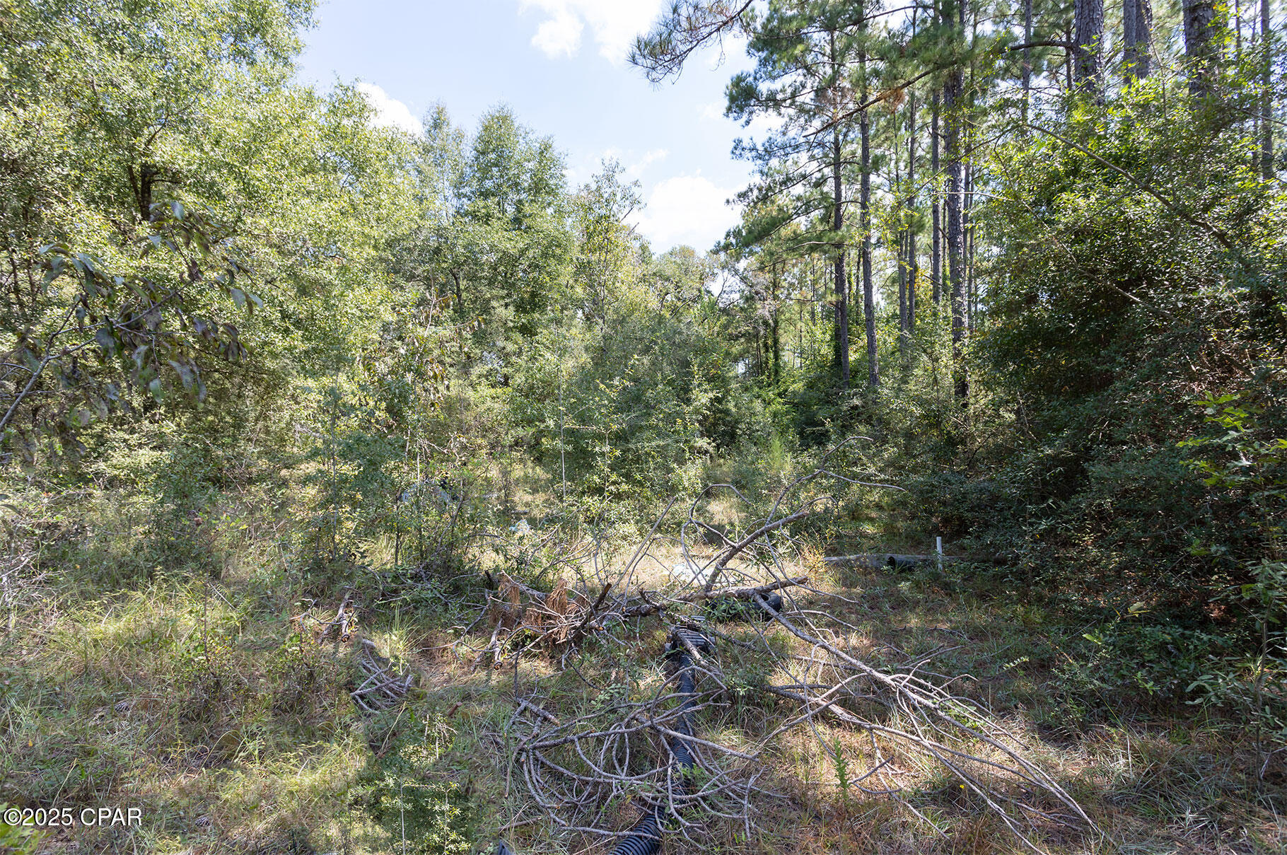 Image 10 For 3651 Union Hill Road