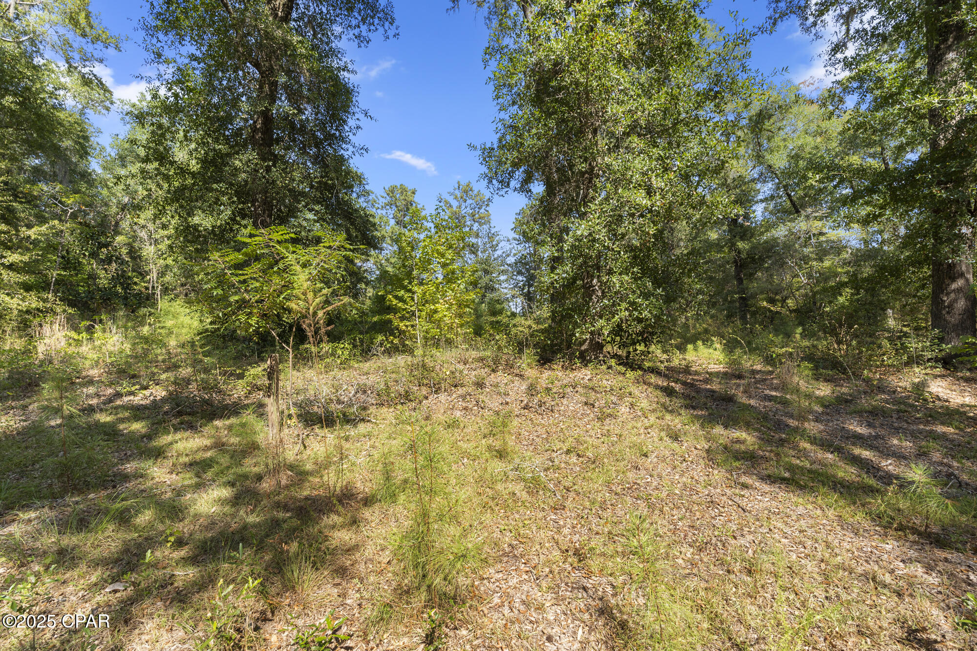 S5 Bijwtxlbilfysrzhrifved2lh8qgjc6uvygogqpg