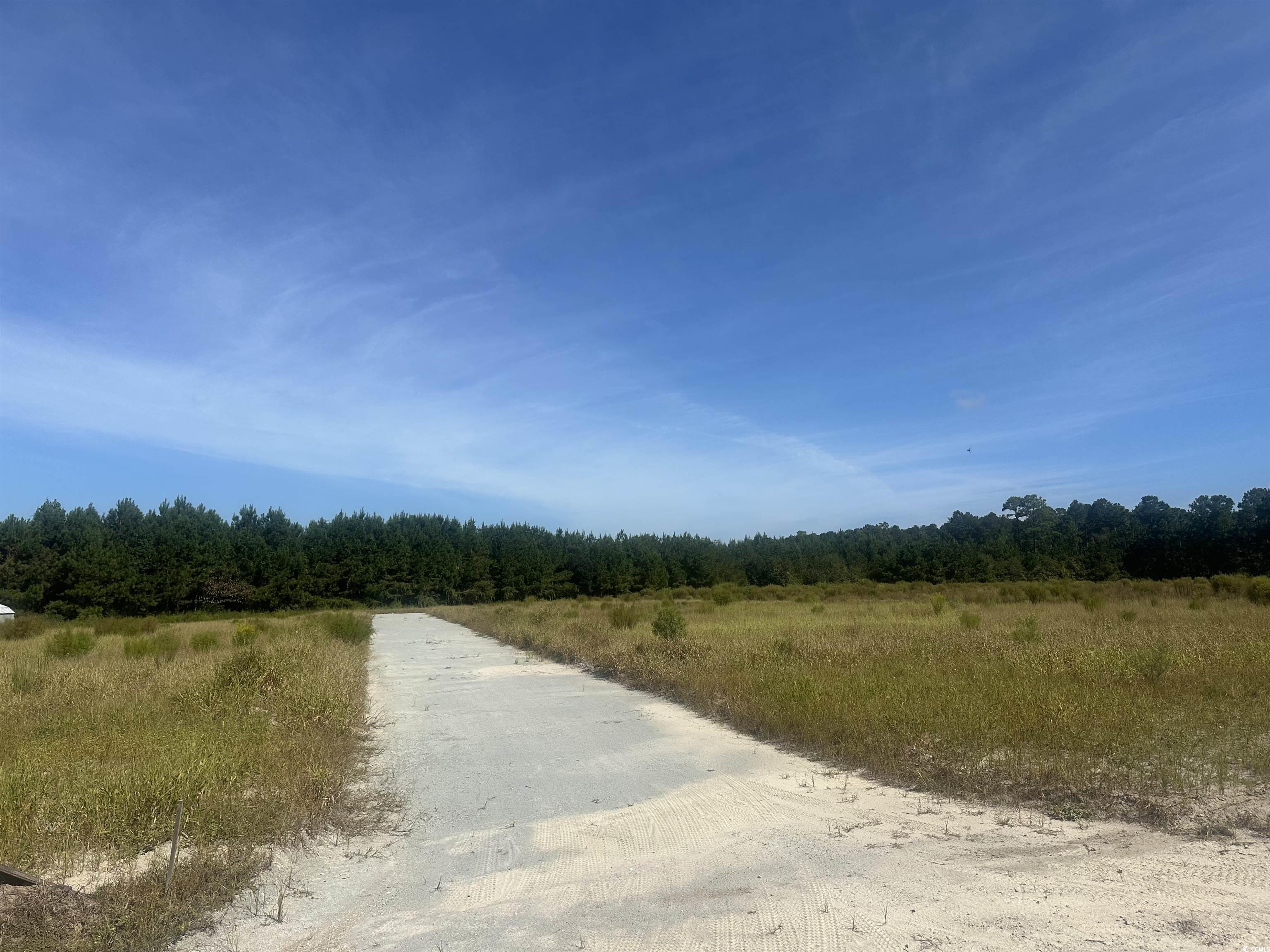 TBD Tansy Rd. Loris, SC 29569