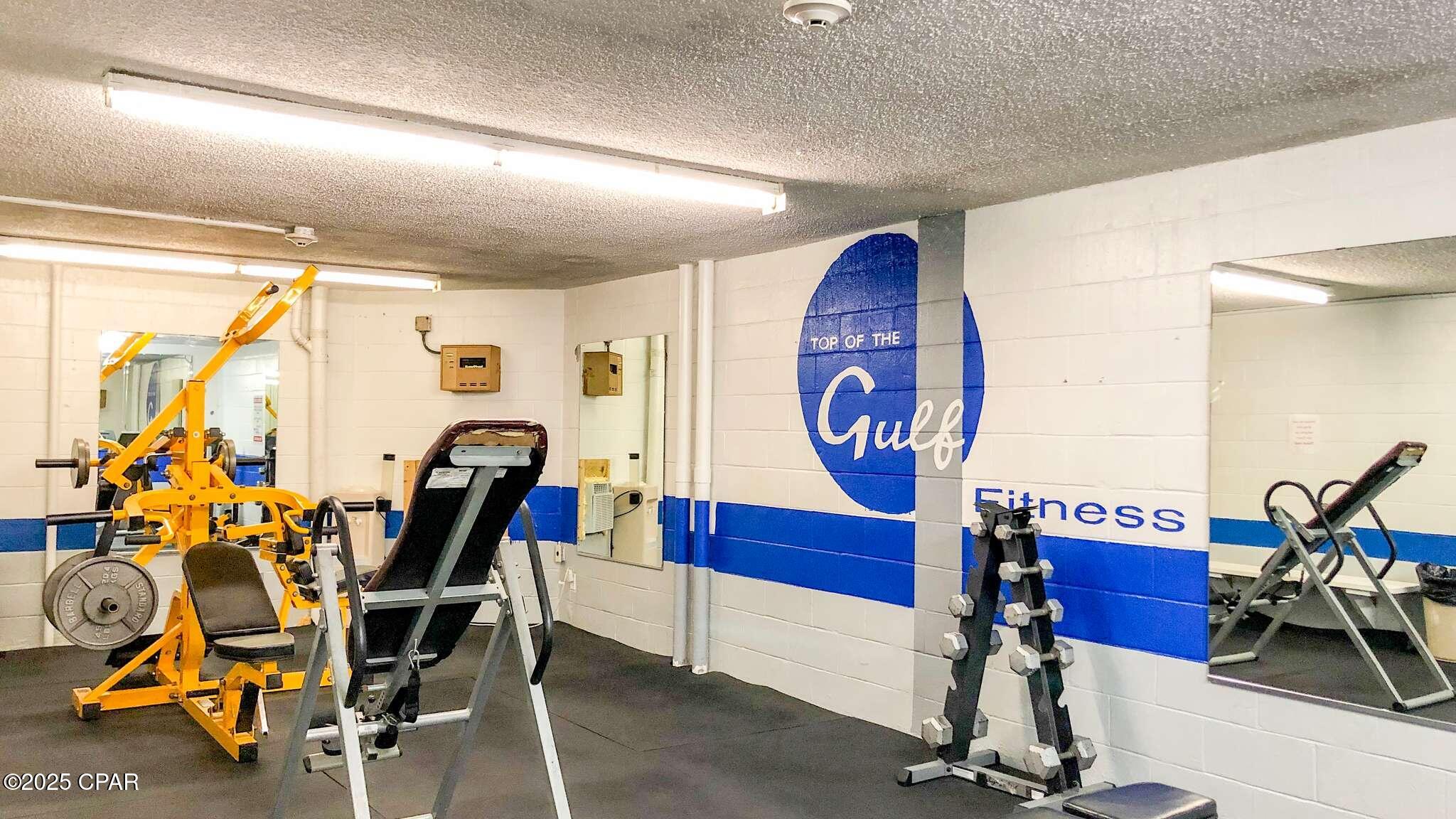 Pig_q7emmkrrq_5mf8mr Hdbfbpvheqbbn_btszqlhc