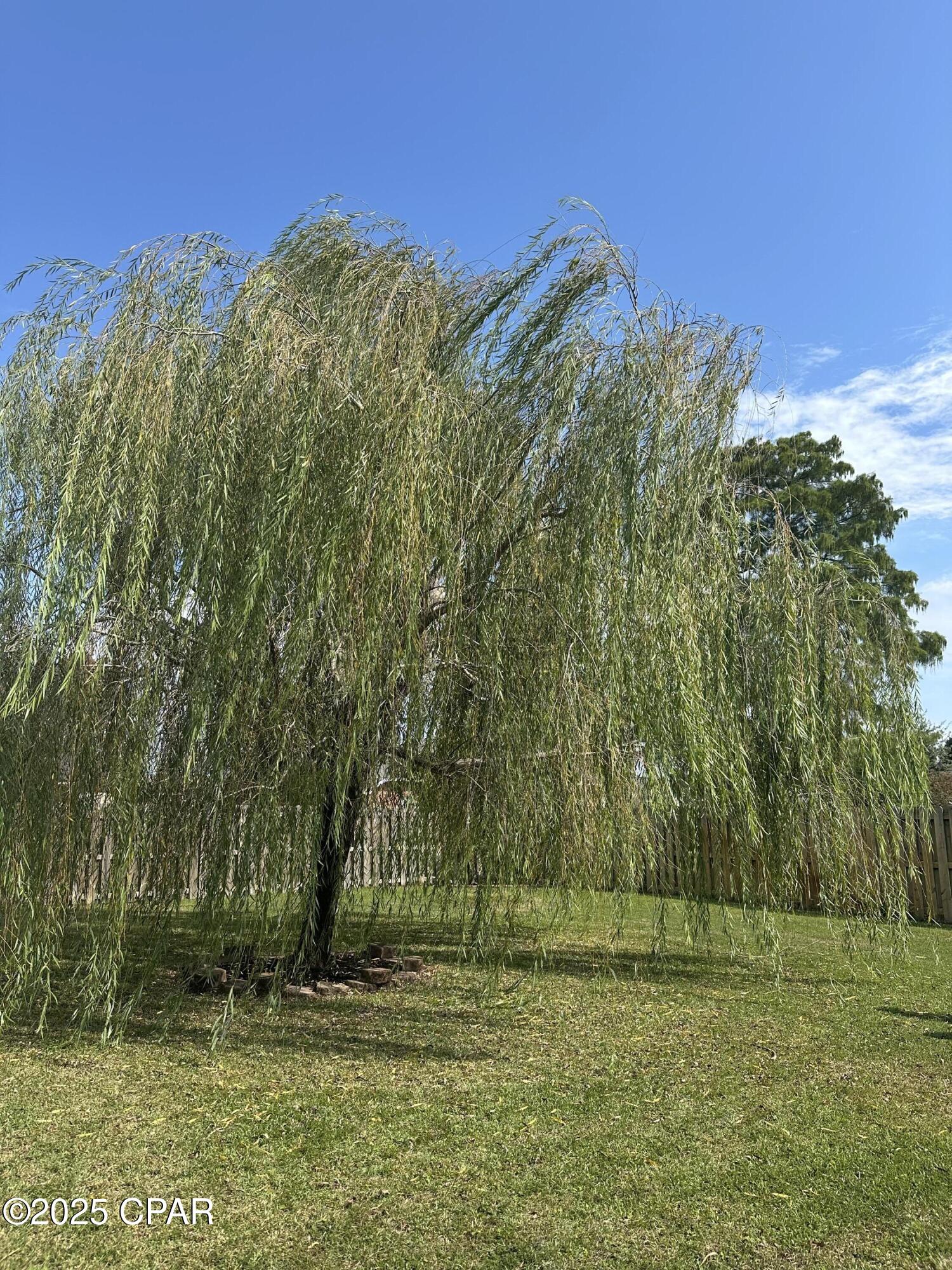  Ffgralrmbyyfpzgs_tnqnvua0m3vuih5rbdk1wjnwa