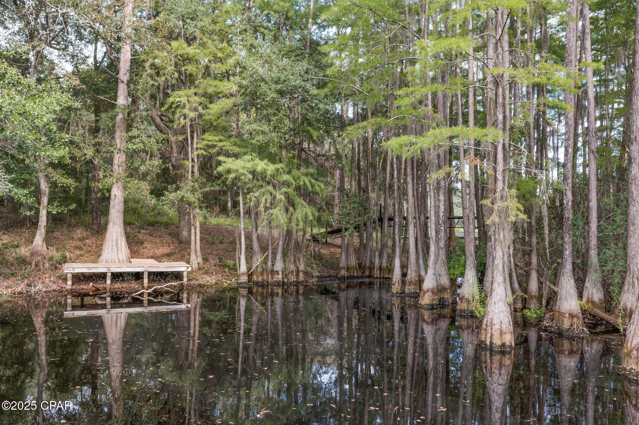 Sxwnczfopwod50ahxxuhsd9v7jldabhn Qsiuai8v4w