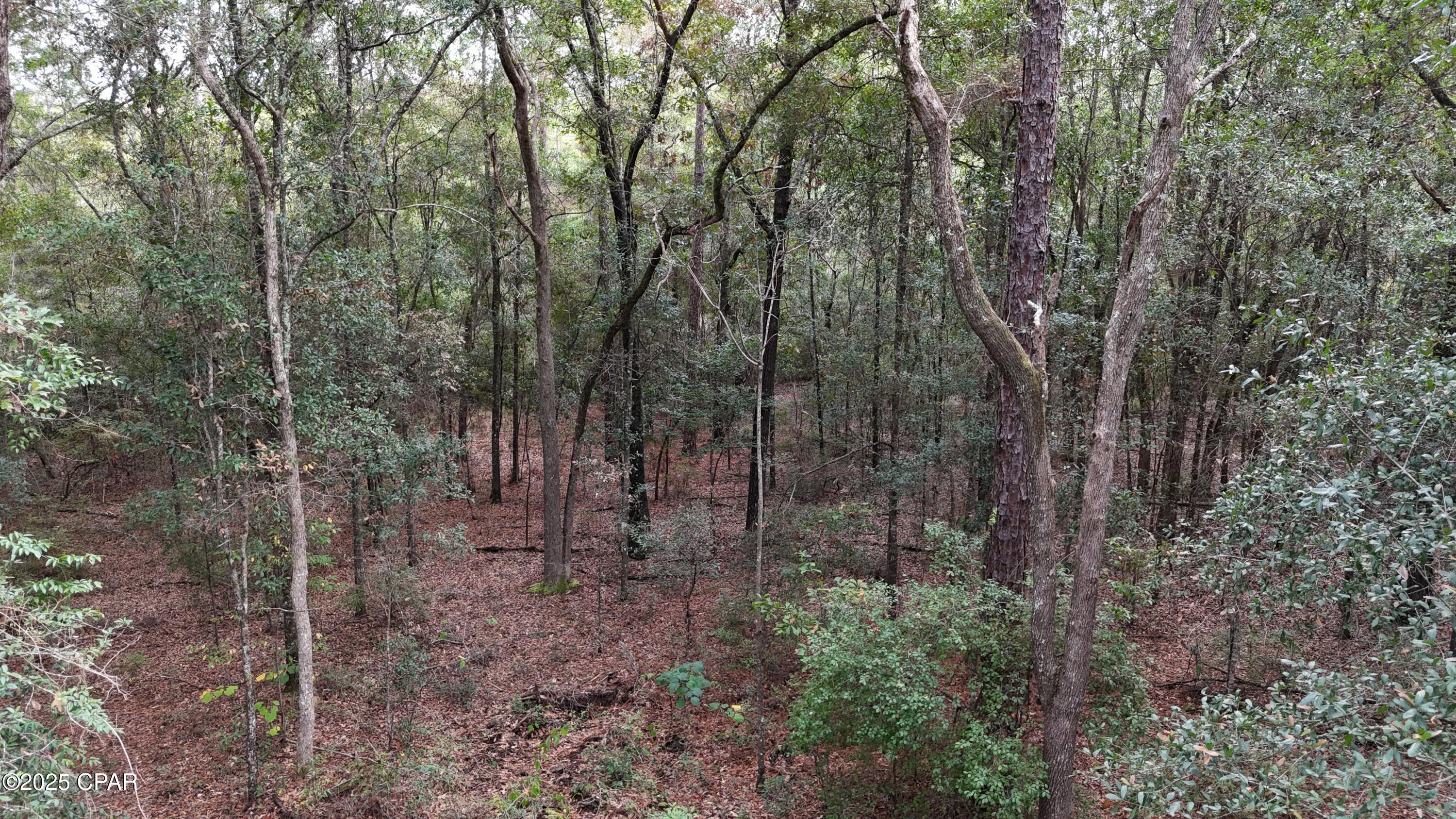 Cgobxeqoitrs68wv7x5ebhijepu_giza4puppkb3pp0