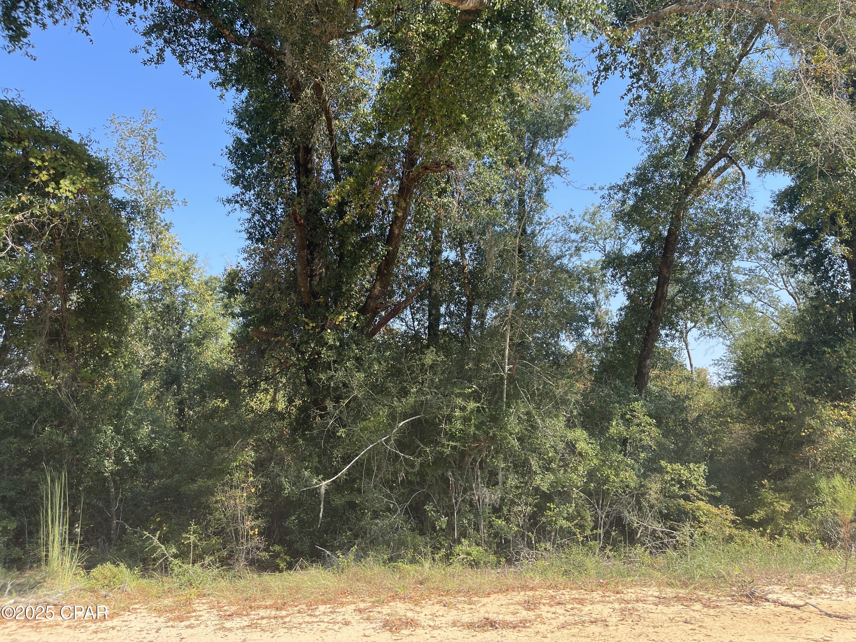 Vntyr7f2_s0l9drj T79lz9tsp4yxzmdpkoj7gt12l8