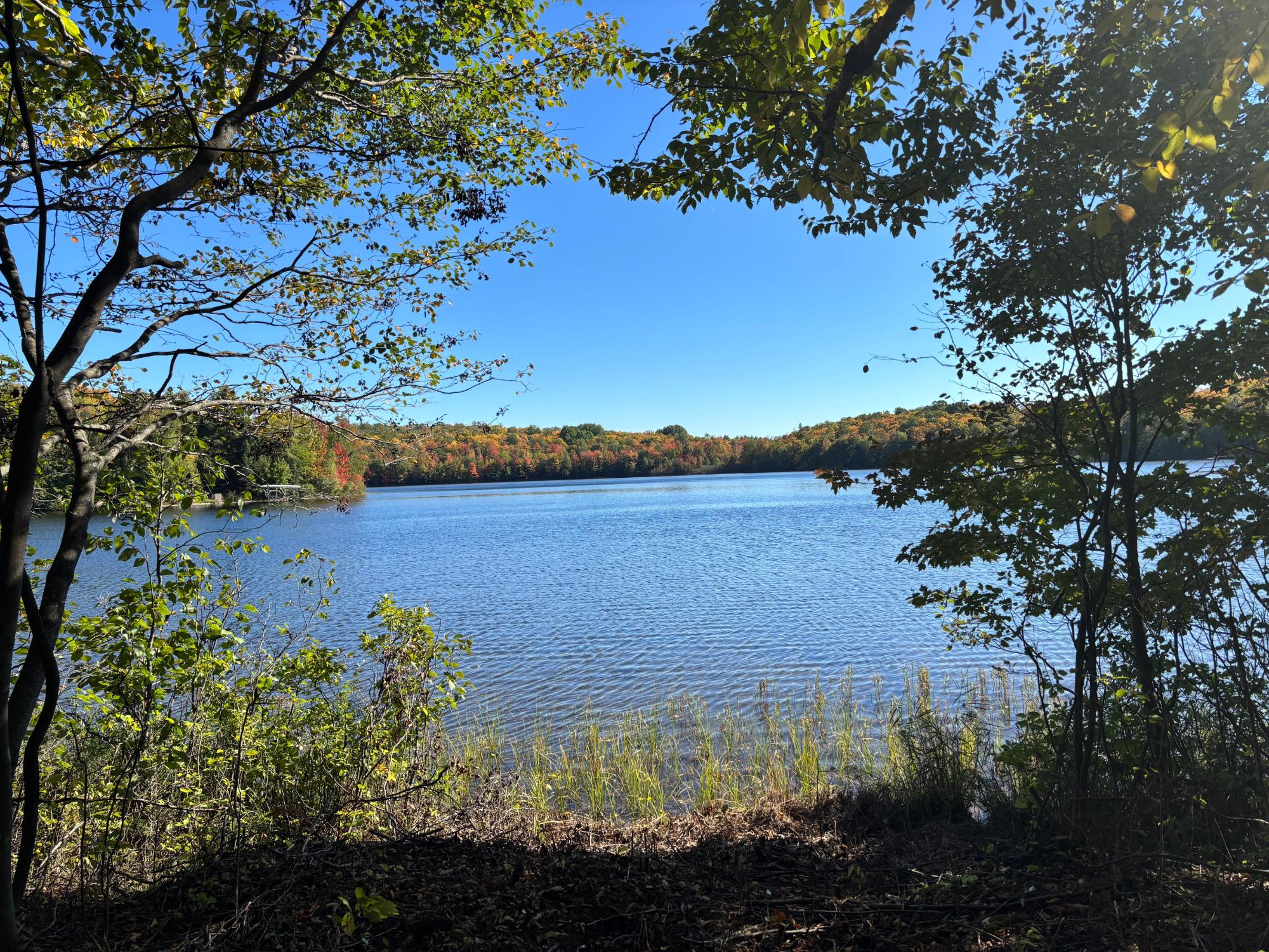 Spectacle Lake Property 5 acres Retriever Ln Photo 10