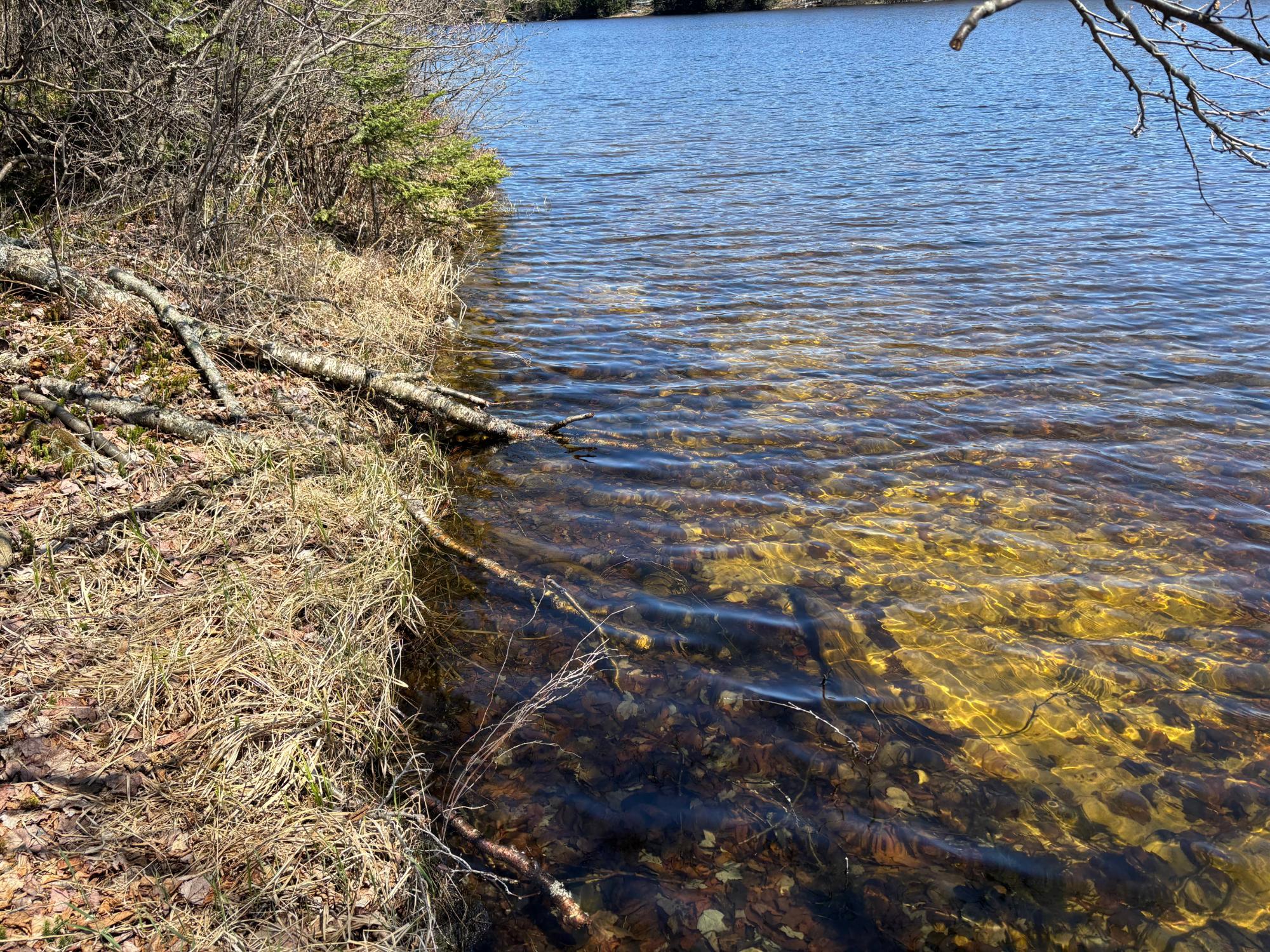 Spectacle Lake Property 5 acres Retriever Ln Photo 11