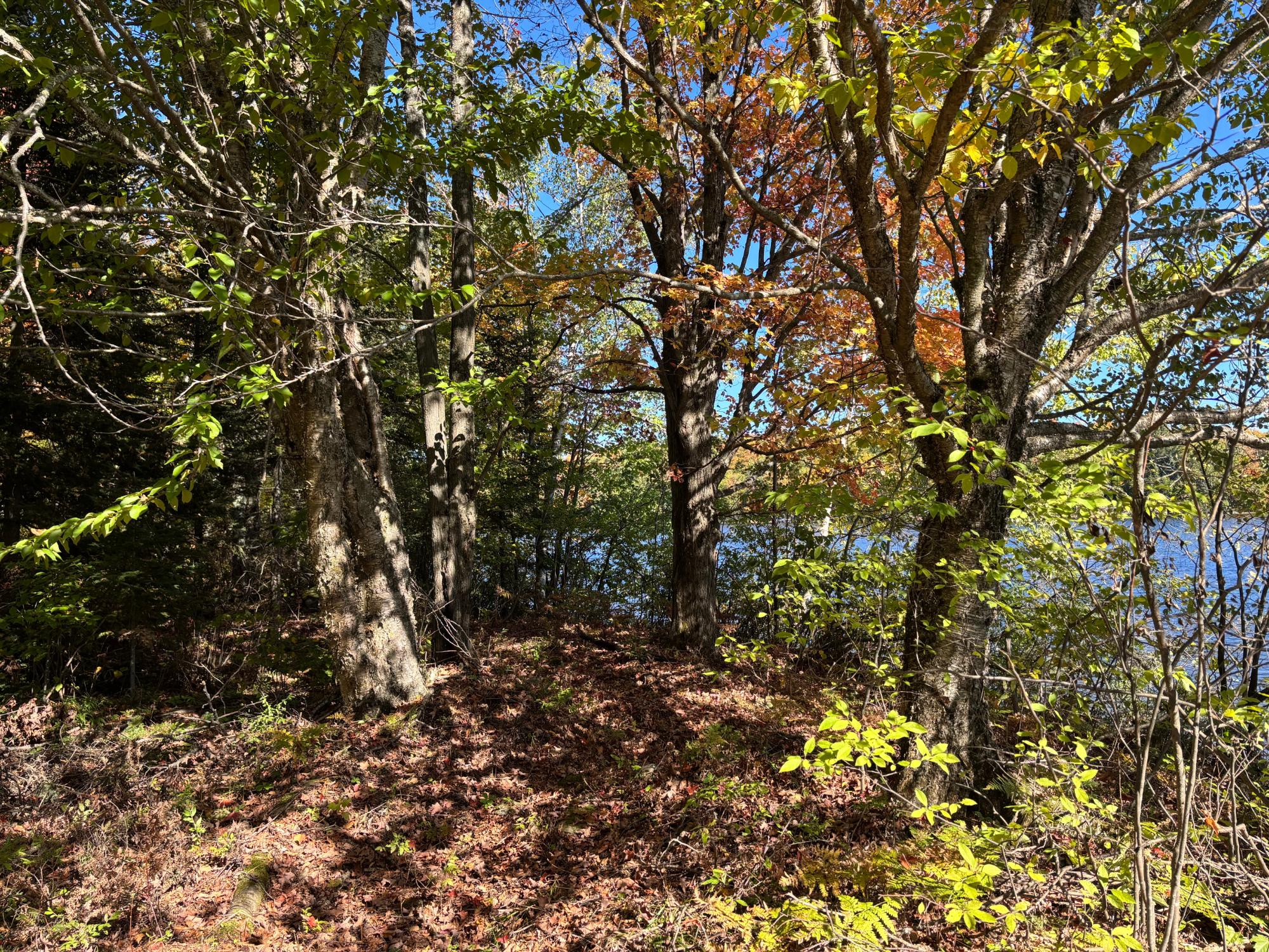 Spectacle Lake Property 5 acres Retriever Ln Photo 12