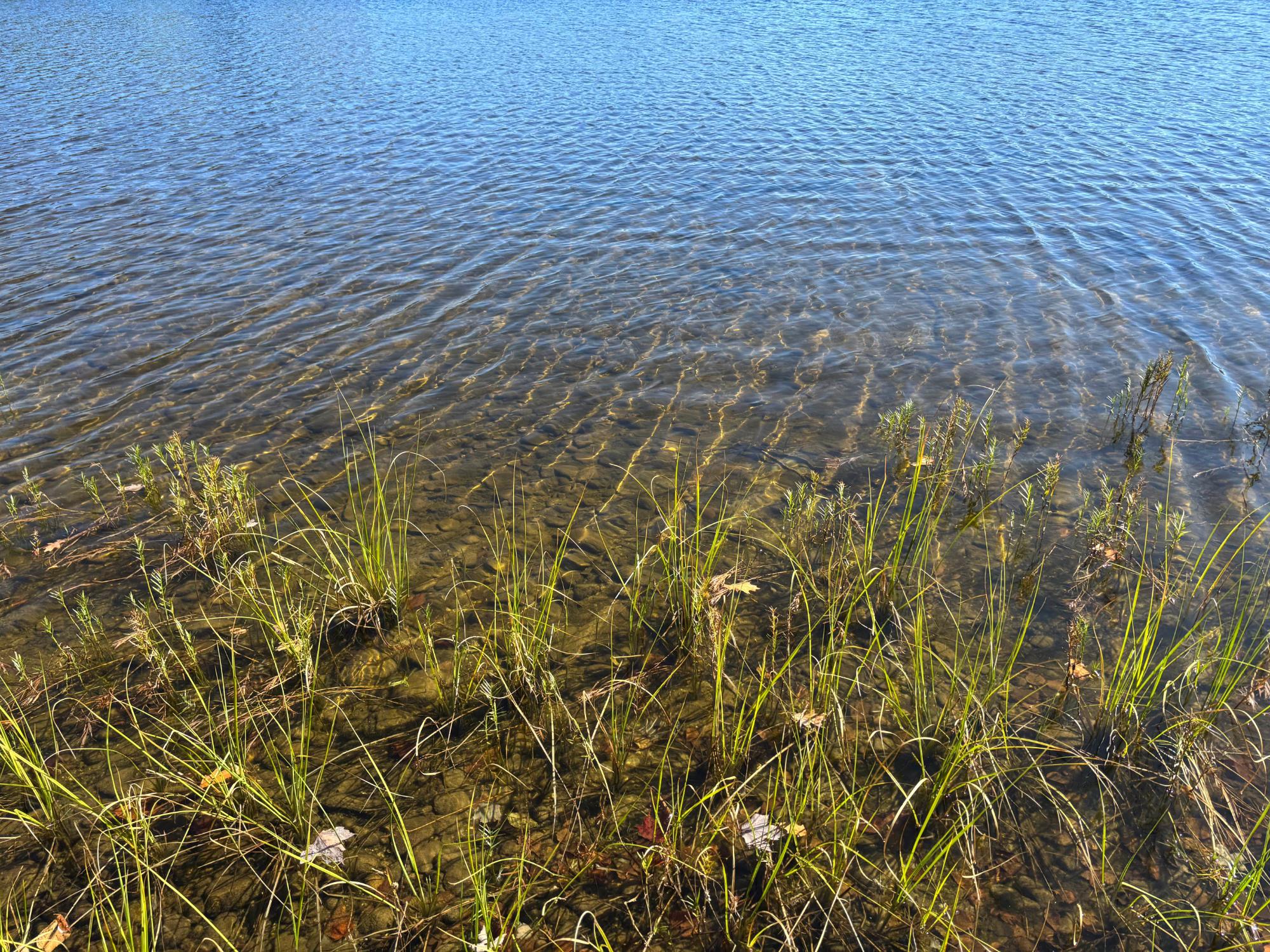 Spectacle Lake Property 5 acres Retriever Ln Photo 13