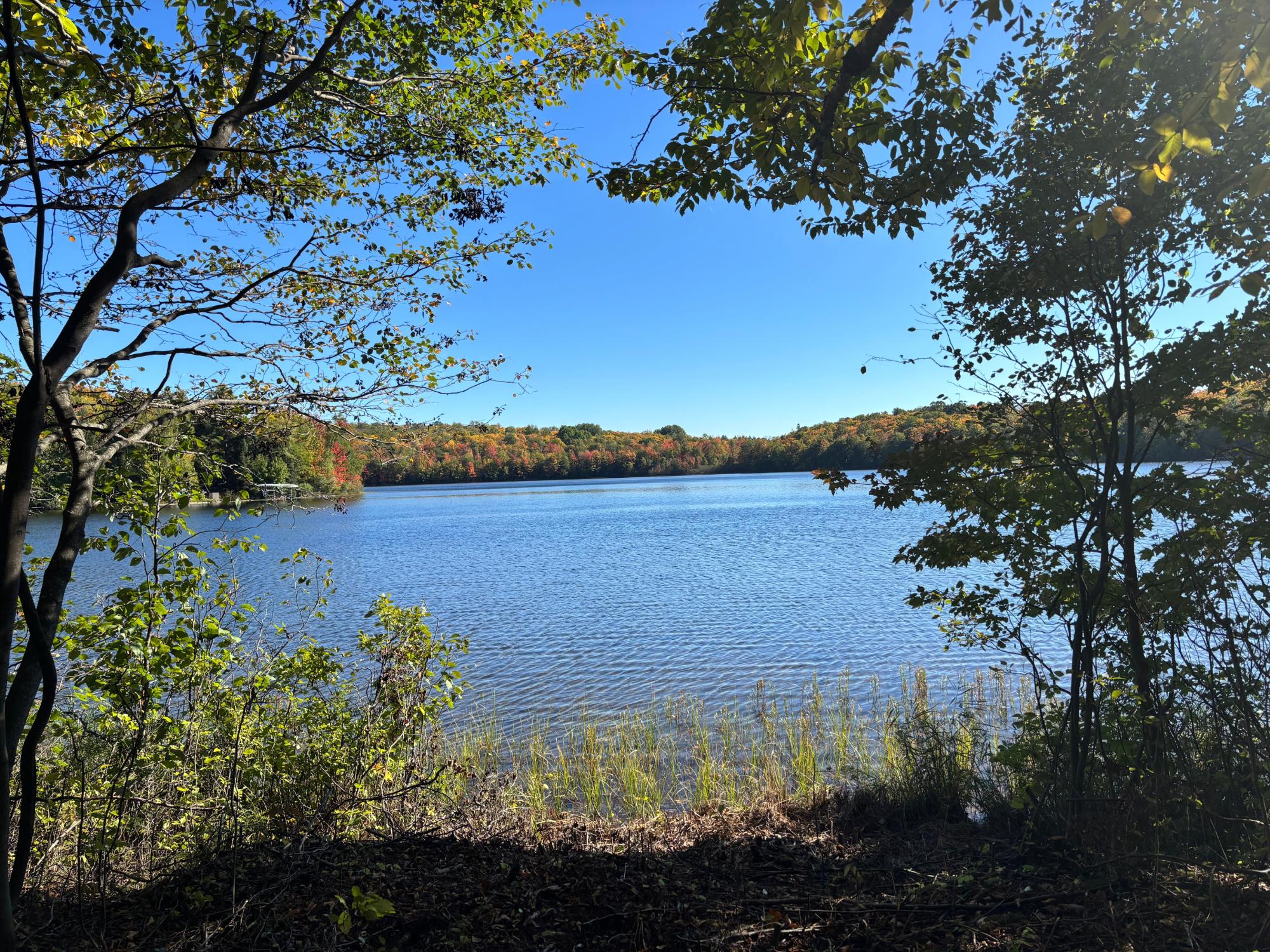 Spectacle Lake Property 5 acres Retriever Ln Photo 14