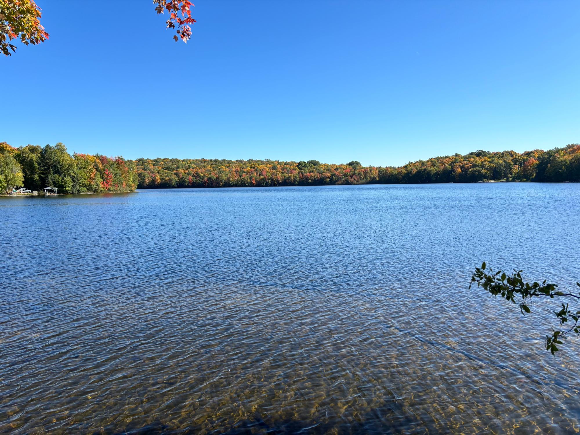 Spectacle Lake Property 5 acres Retriever Ln Photo 15