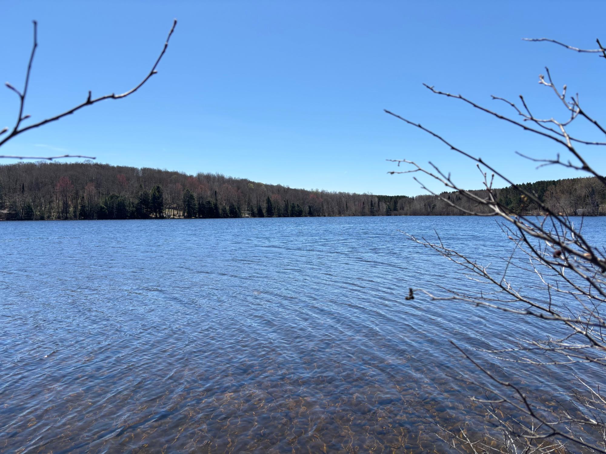 Spectacle Lake Property 5 acres Retriever Ln Photo 17