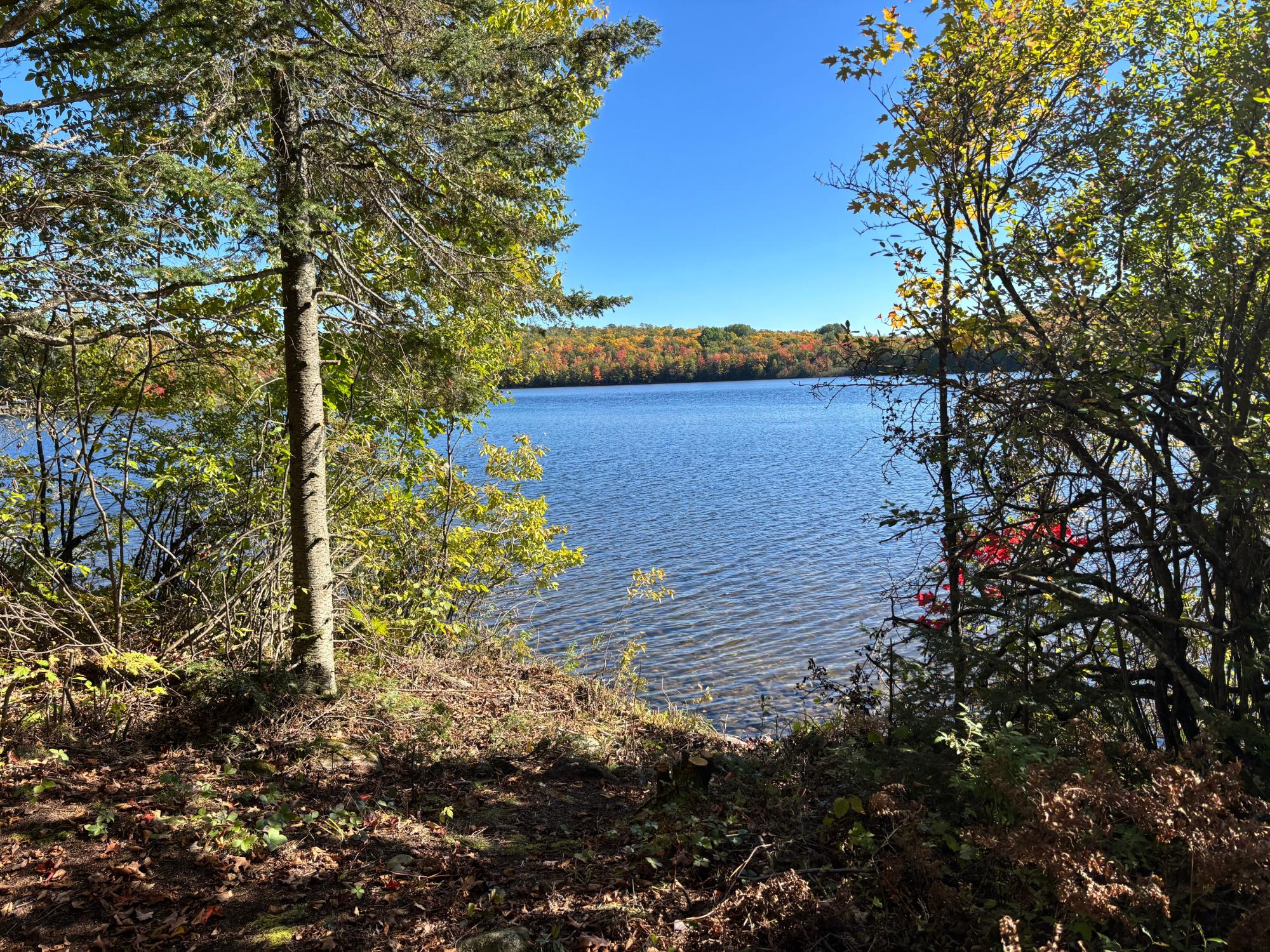 Spectacle Lake Property 5 acres Retriever Ln Photo 18