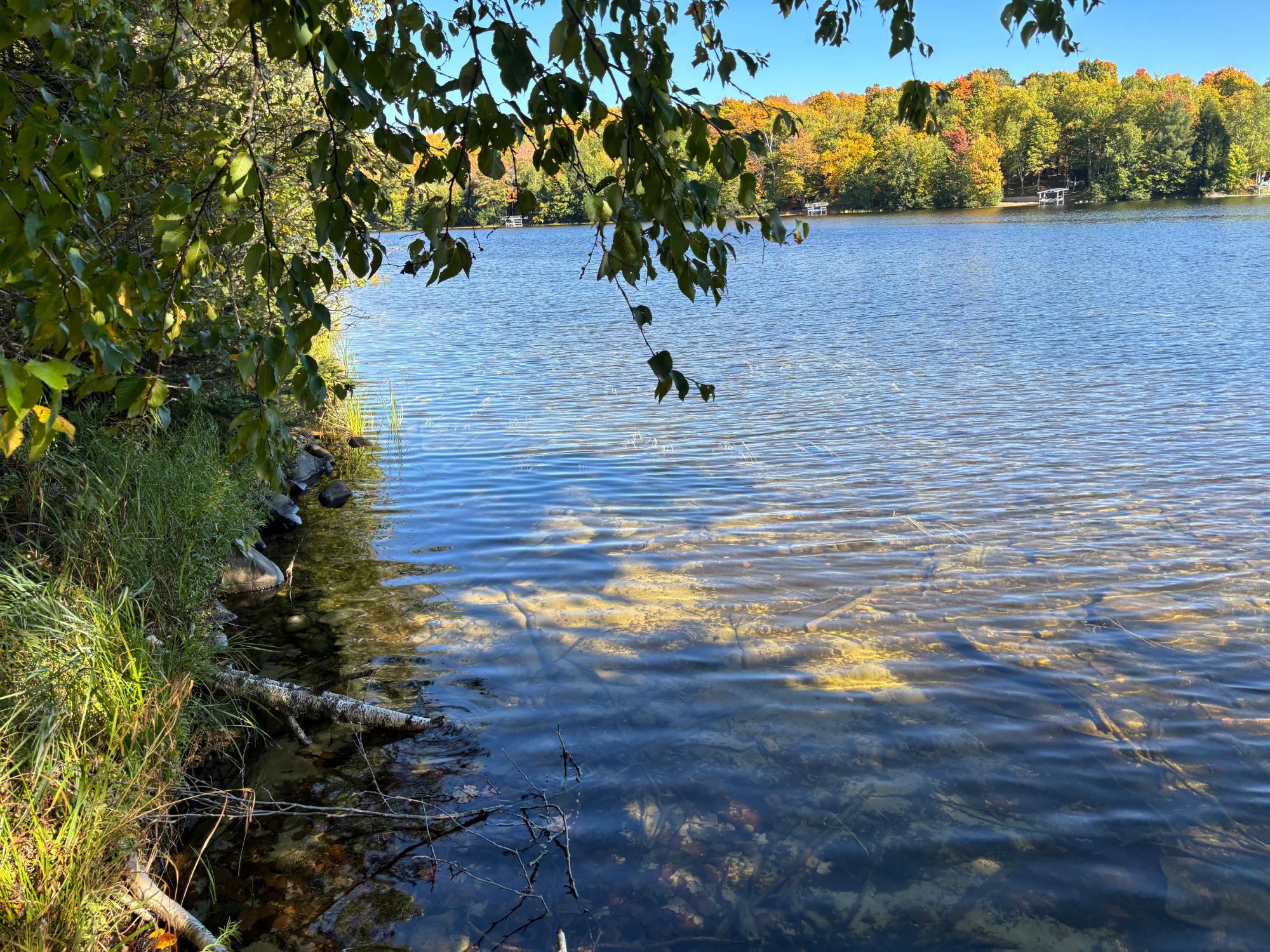 Spectacle Lake Property 5 acres Retriever Ln Photo 3