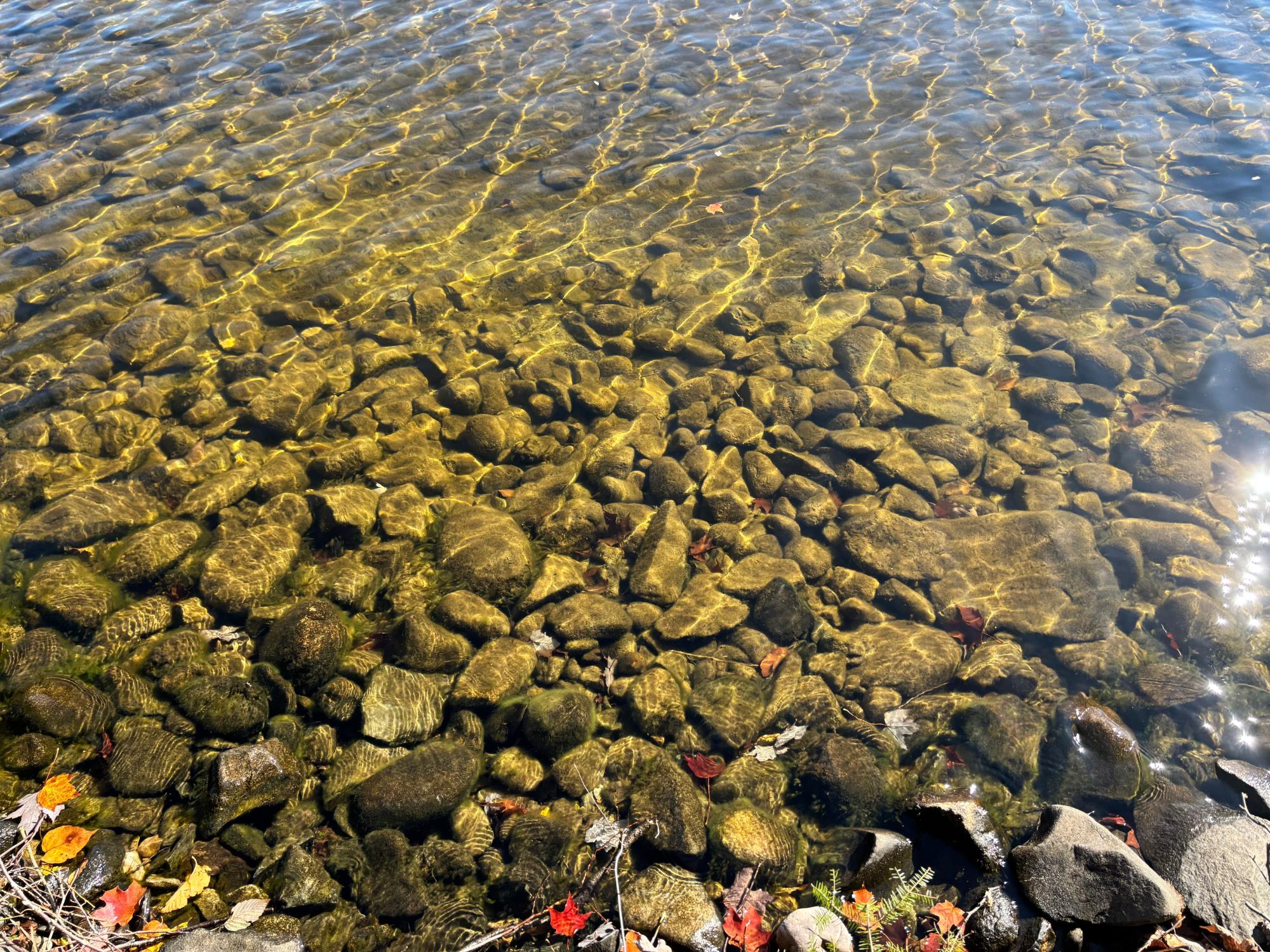 Spectacle Lake Property 5 acres Retriever Ln Photo 9