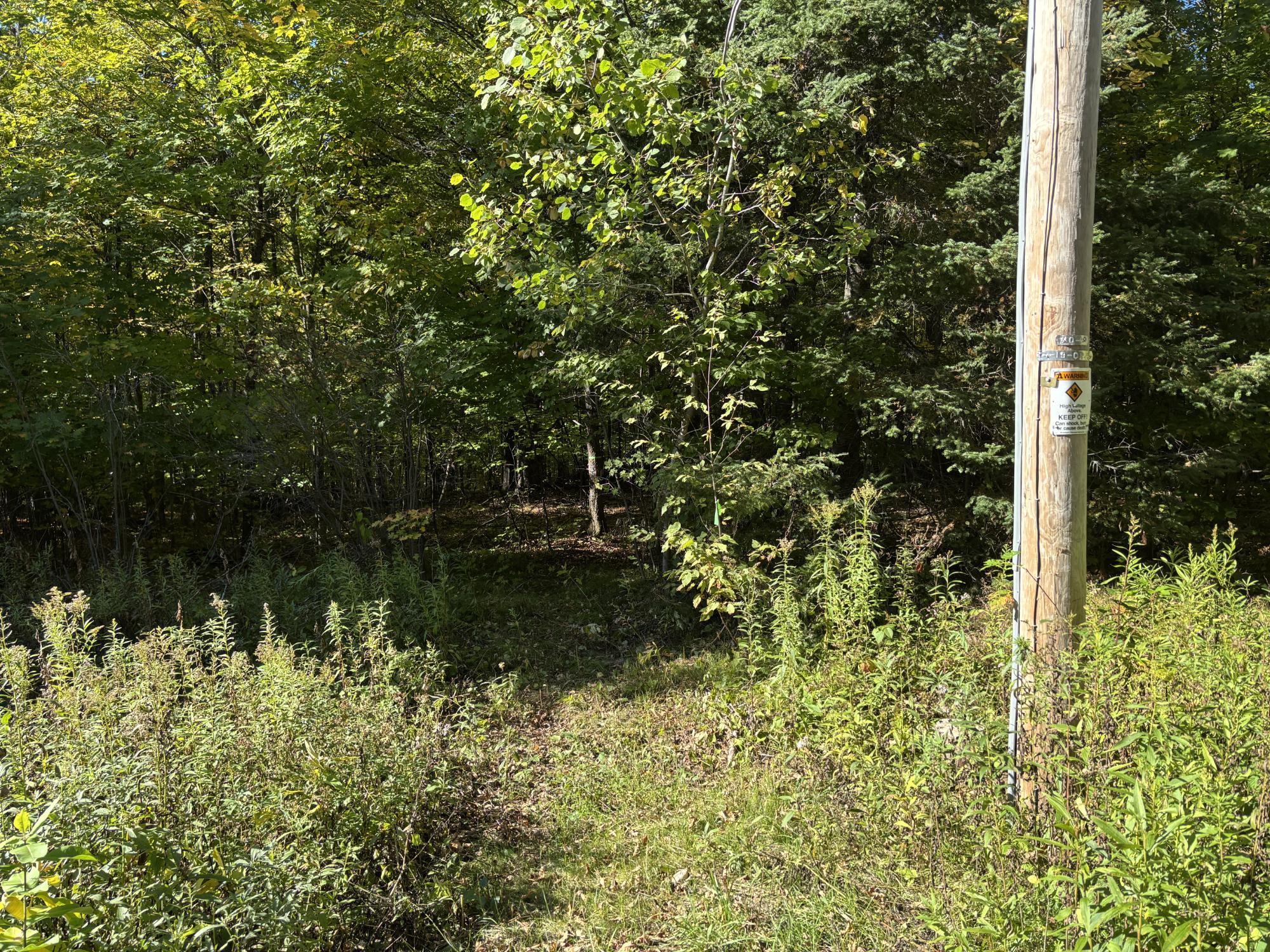 Spectacle Lake Property Lot 21 Nicolet Shores Ln Photo 10