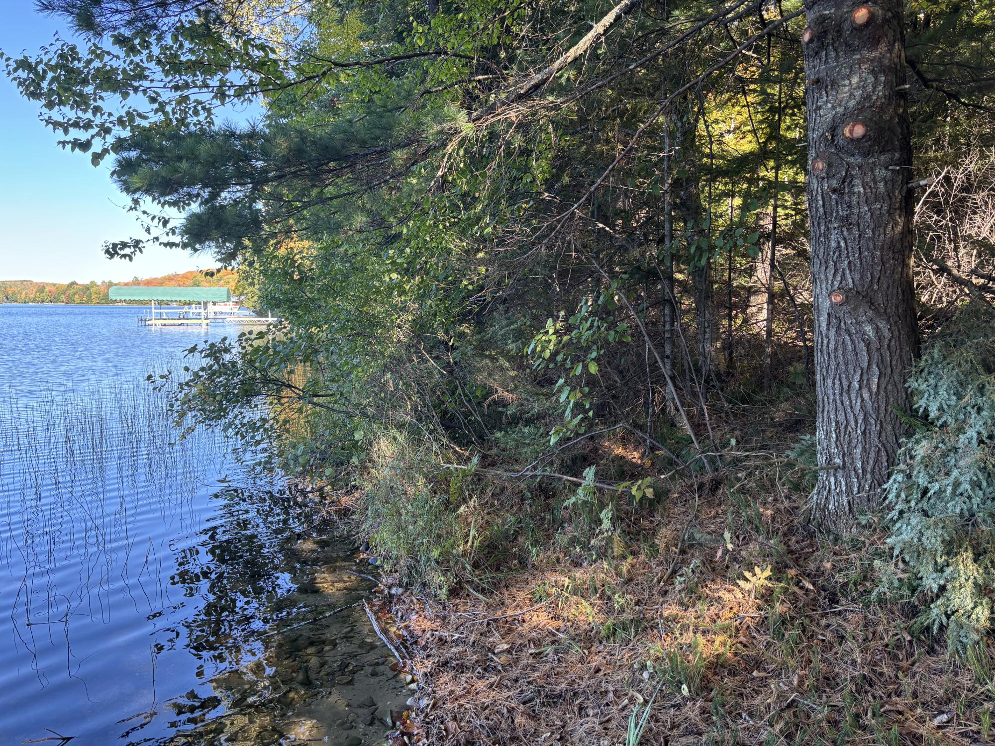 Spectacle Lake Property Lot 21 Nicolet Shores Ln Photo 12