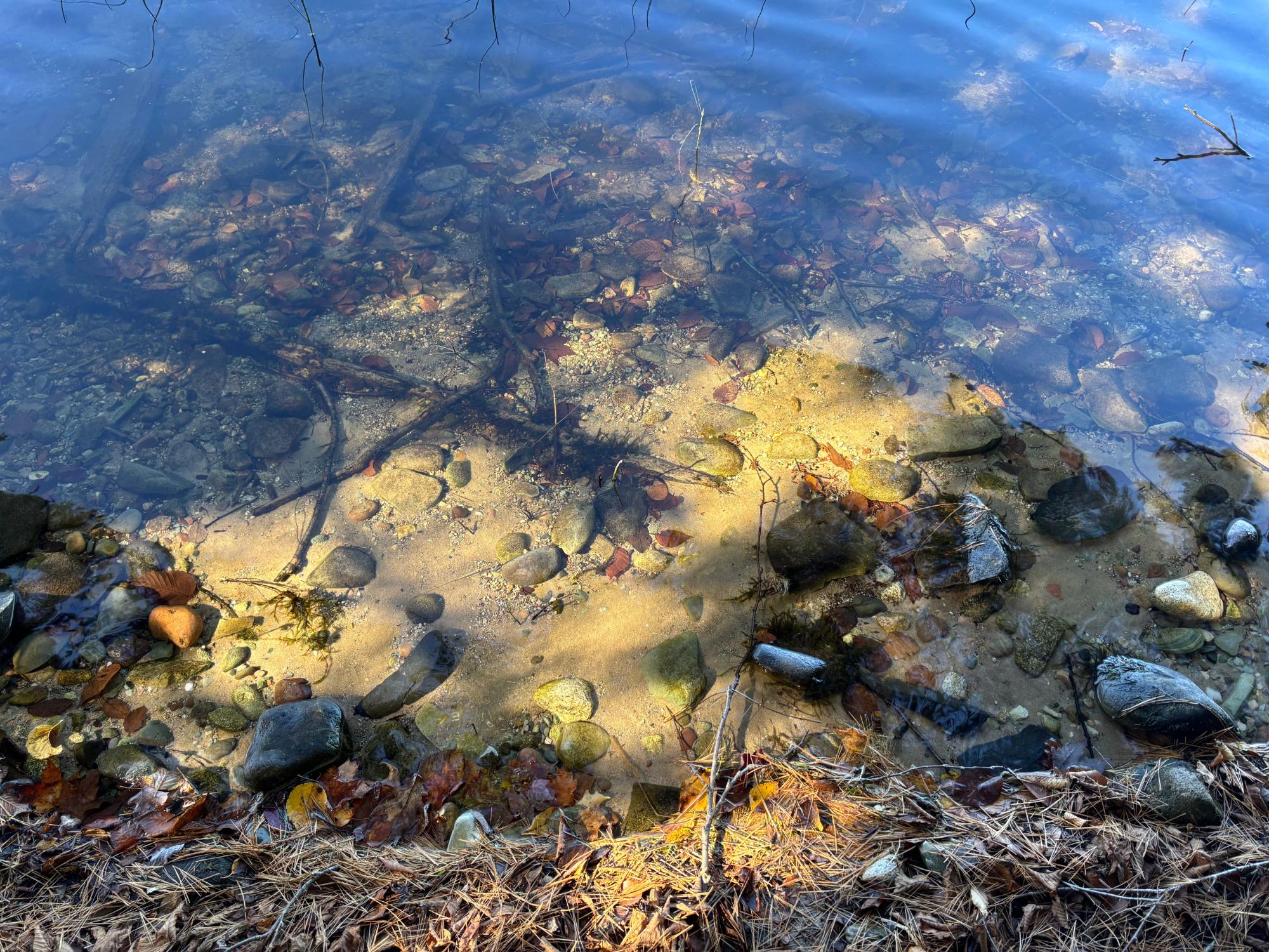 Spectacle Lake Property Lot 21 Nicolet Shores Ln Photo 3