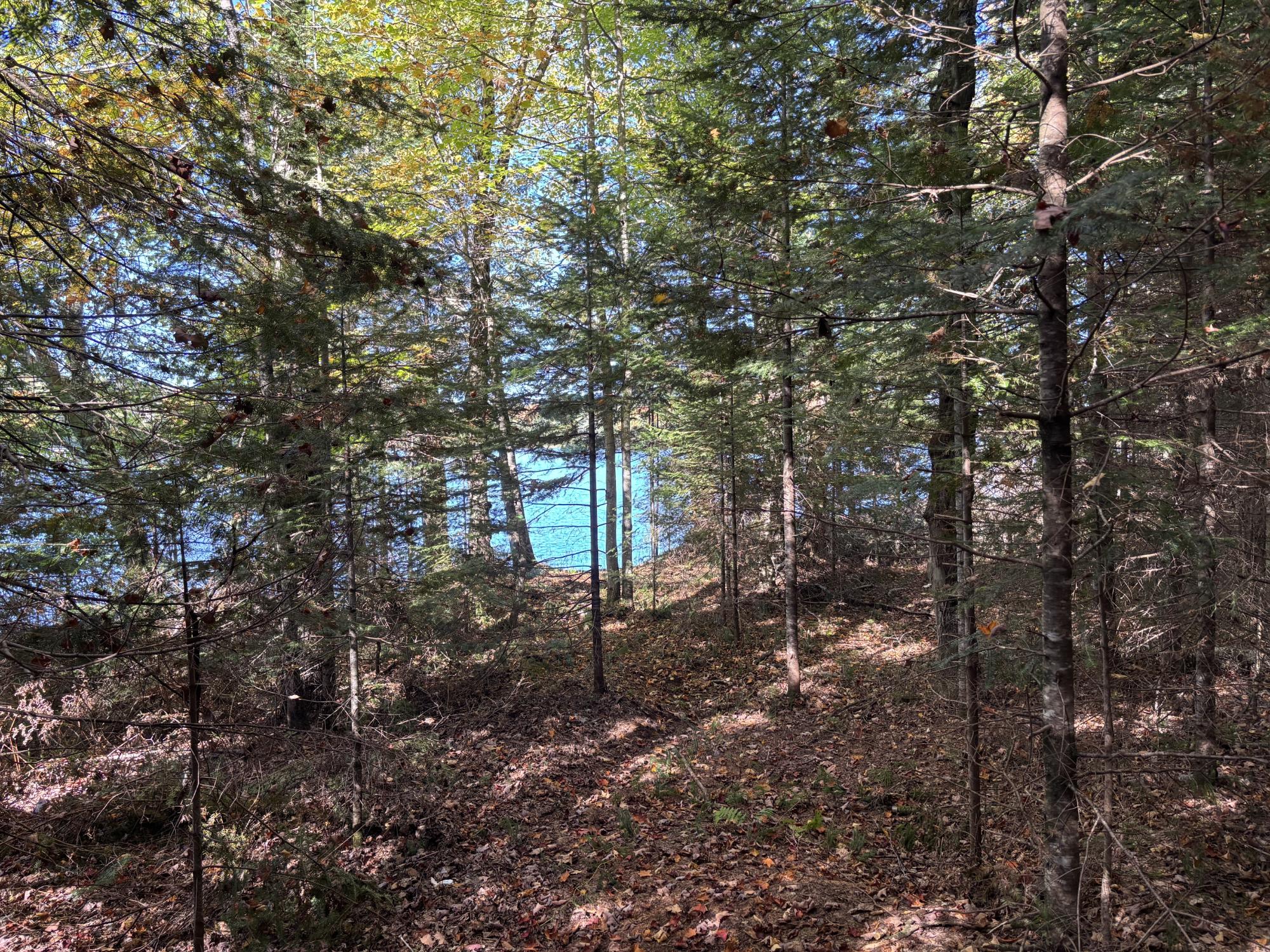 Spectacle Lake Property Lot 21 Nicolet Shores Ln Photo 4