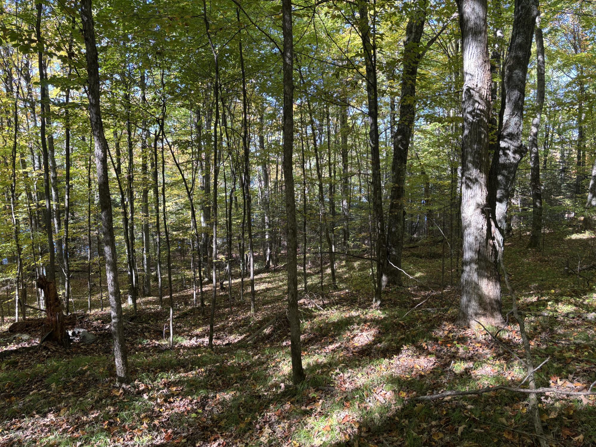 Spectacle Lake Property Lot 21 Nicolet Shores Ln Photo 8