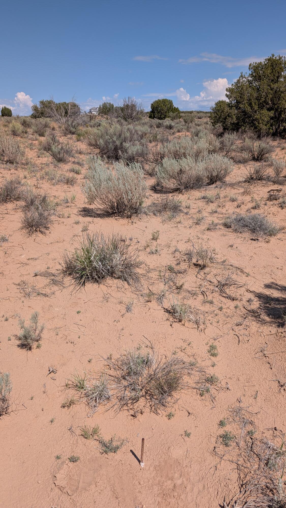 Offenbach 2 lots together Road NE 