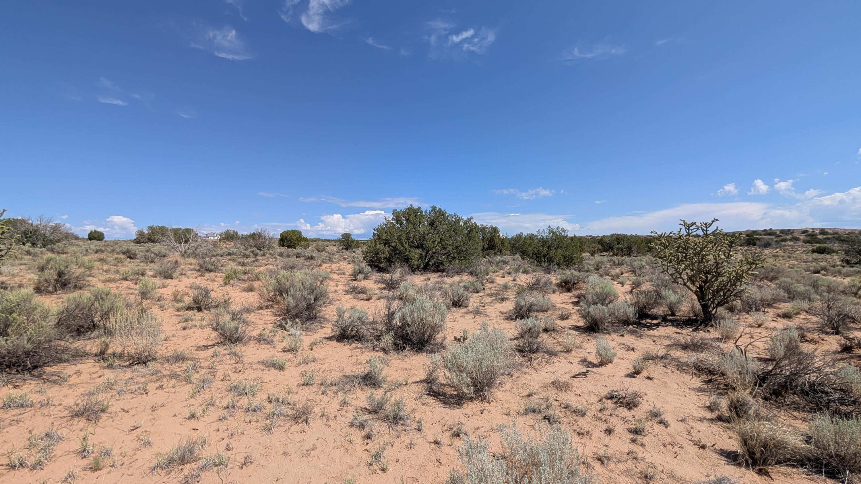 Offenbach 2 lots together Road NE 