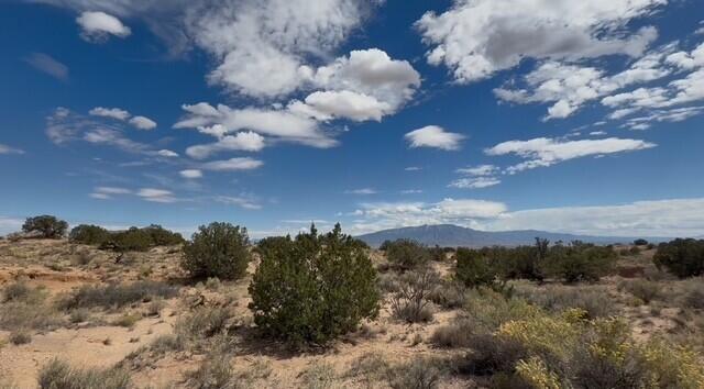 2403 Desert Zinnia Rd NE Road