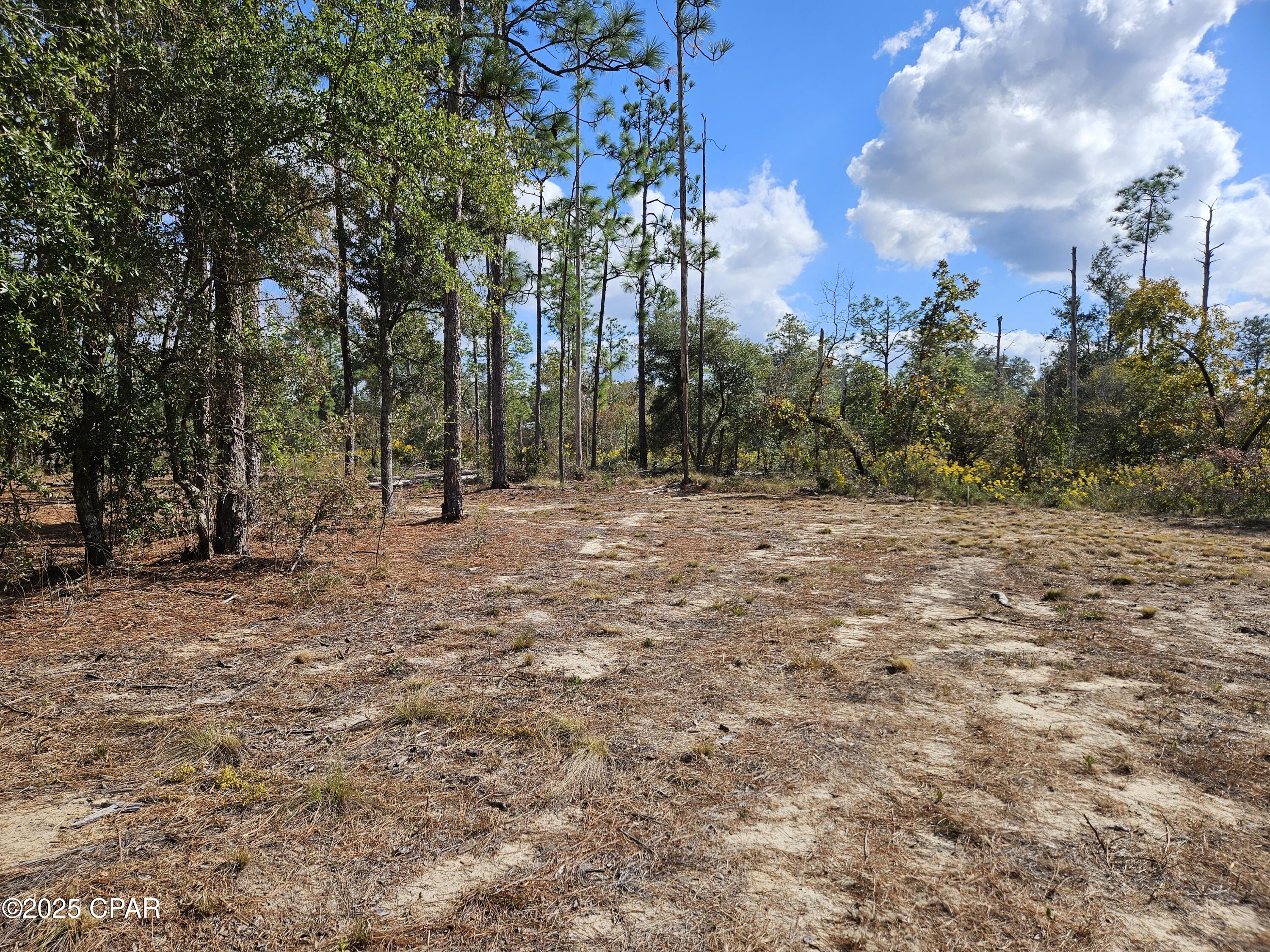 Trducqzzxtghg__fc0t3lryxce5ew3ca11xsadxl7mo